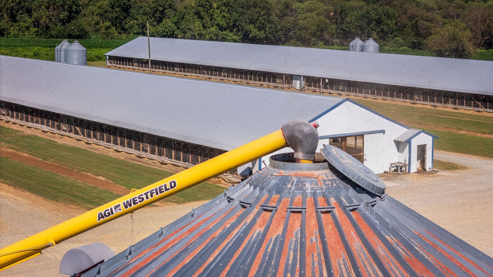 Toma aérea de una instalación agrícola con silos de grano y edificios de almacenamiento en un día soleado.