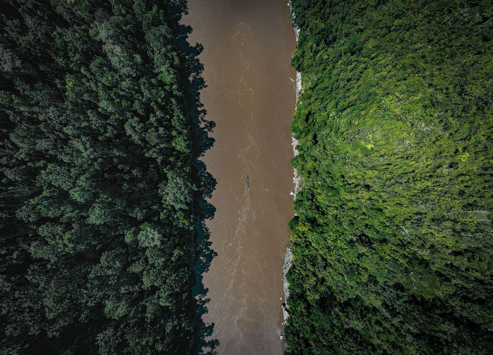 Una impresionante vista aérea de un río que atraviesa una densa selva en Tarapoto, Perú.