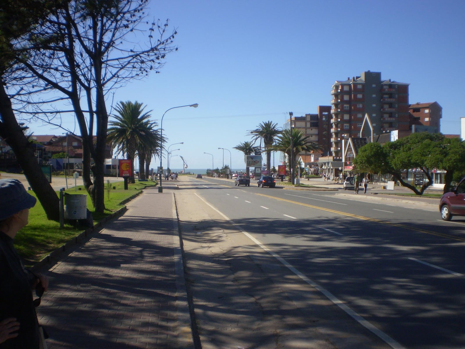 Avenida Bunge. Pinamar, Argentina.