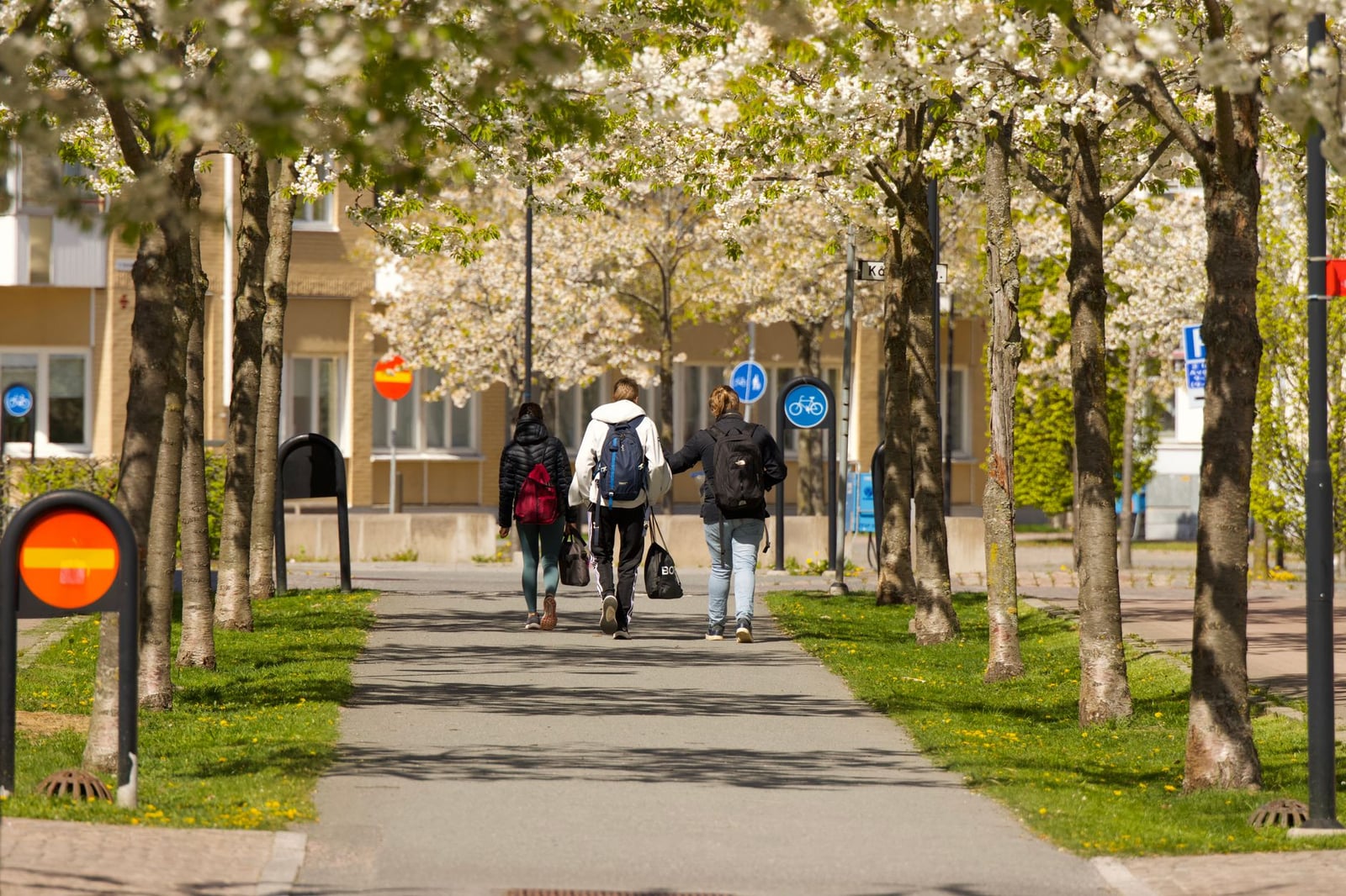 Gente paseando bajo árboles en flor en un día de primavera en Jönköping.