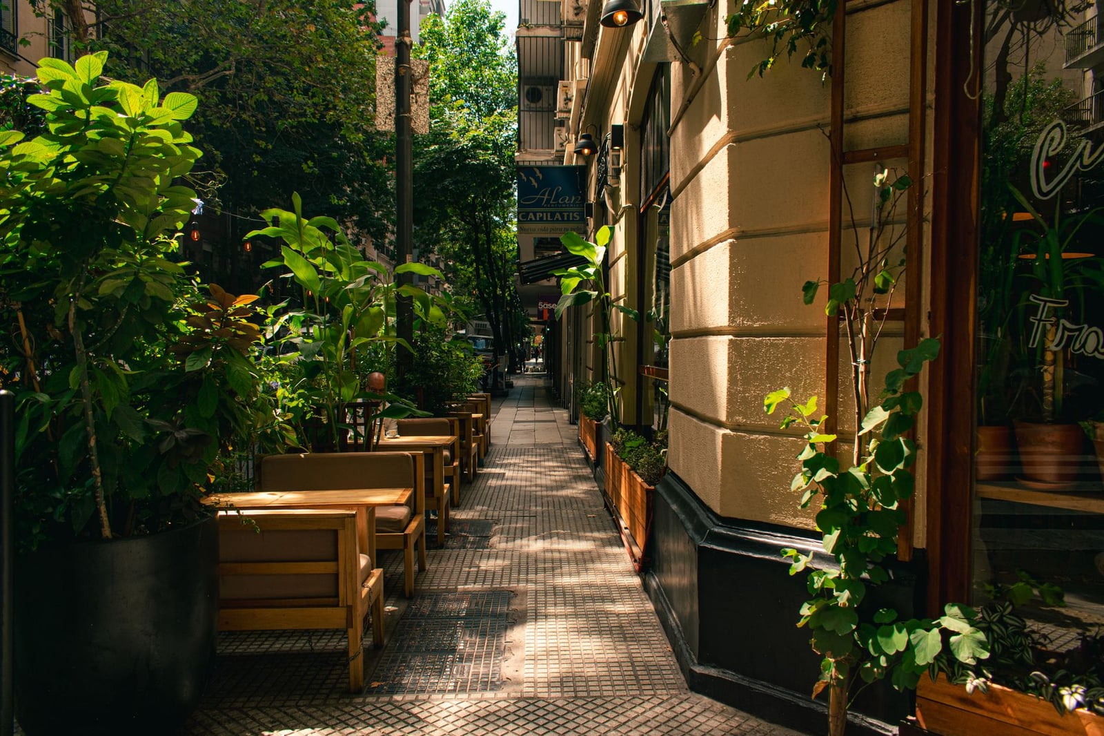 Acogedor café al aire libre con asientos a lo largo de una calle arbolada en Buenos Aires.