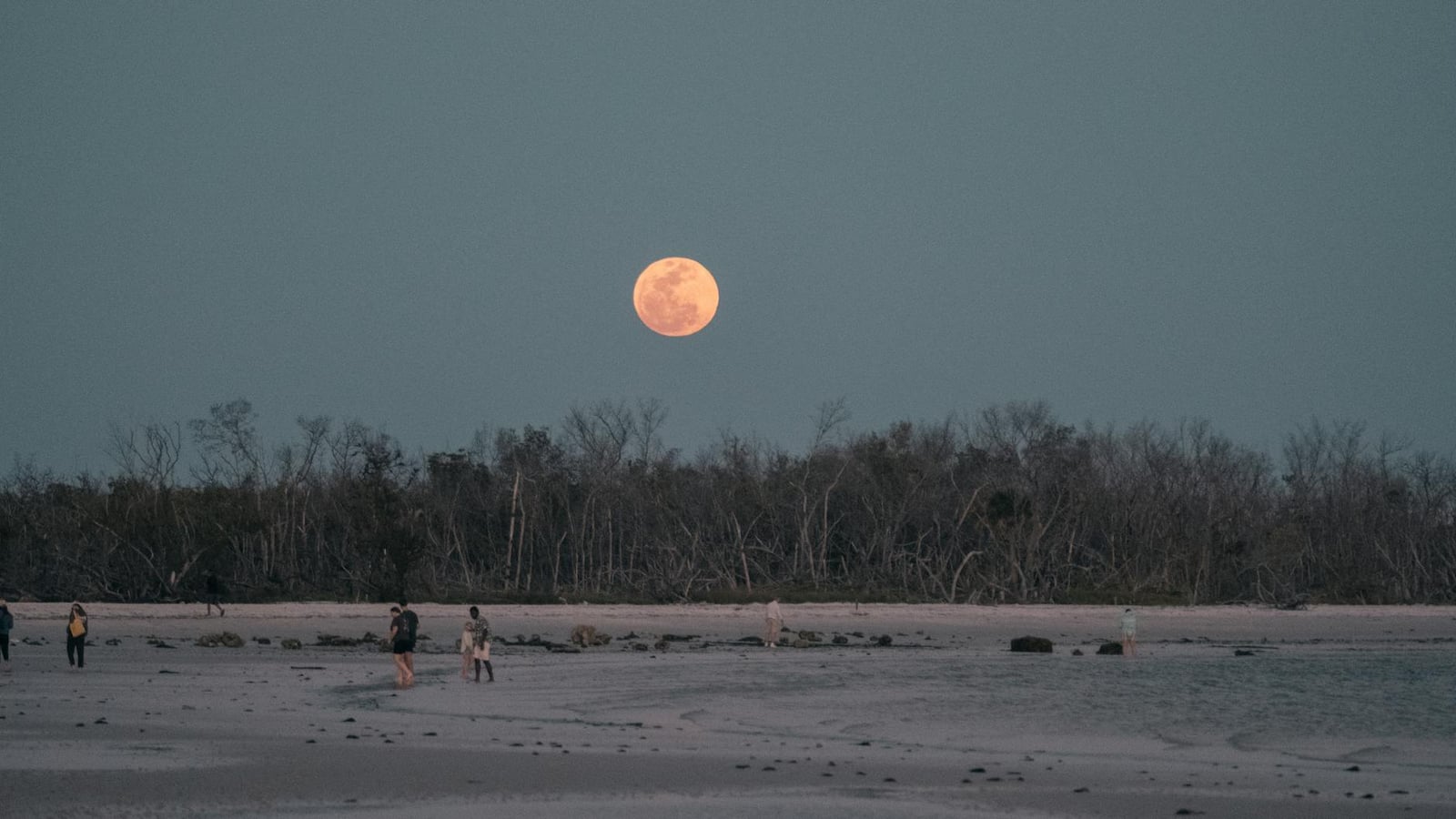 Fotos de stock gratuitas de @al aire libre, al aire libre, América del Norte