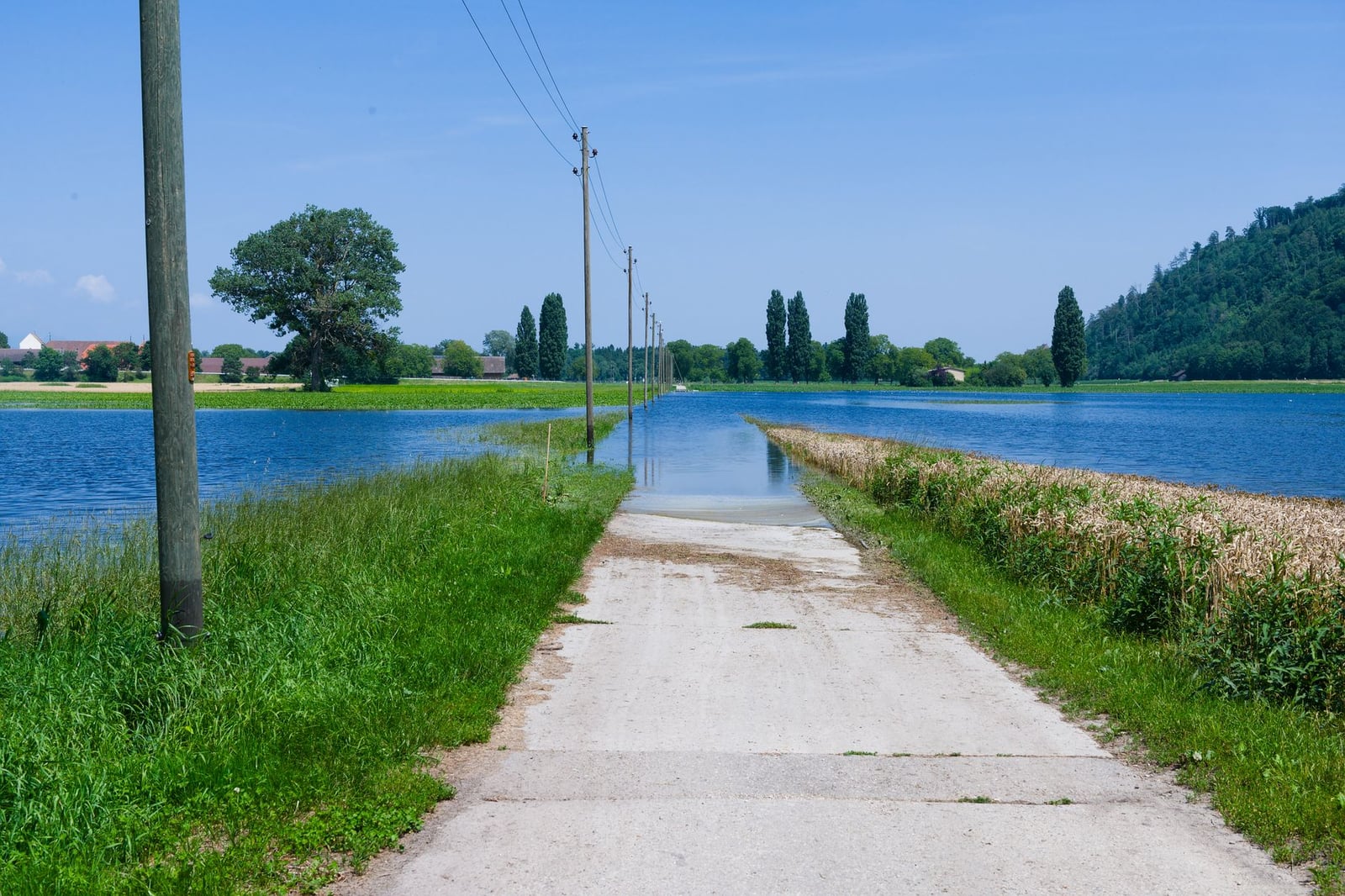 Una vista pintoresca de un camino inundado rodeado de campos y agua en Suiza durante el verano.
