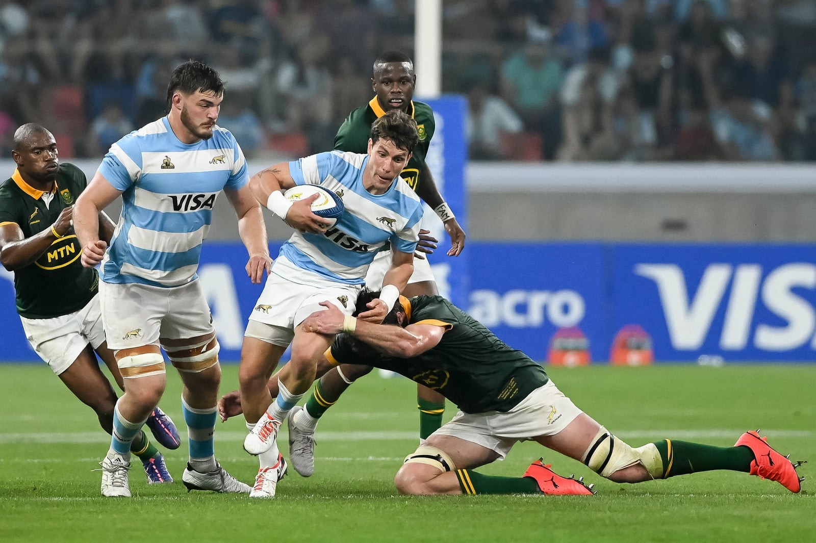 Los pumas