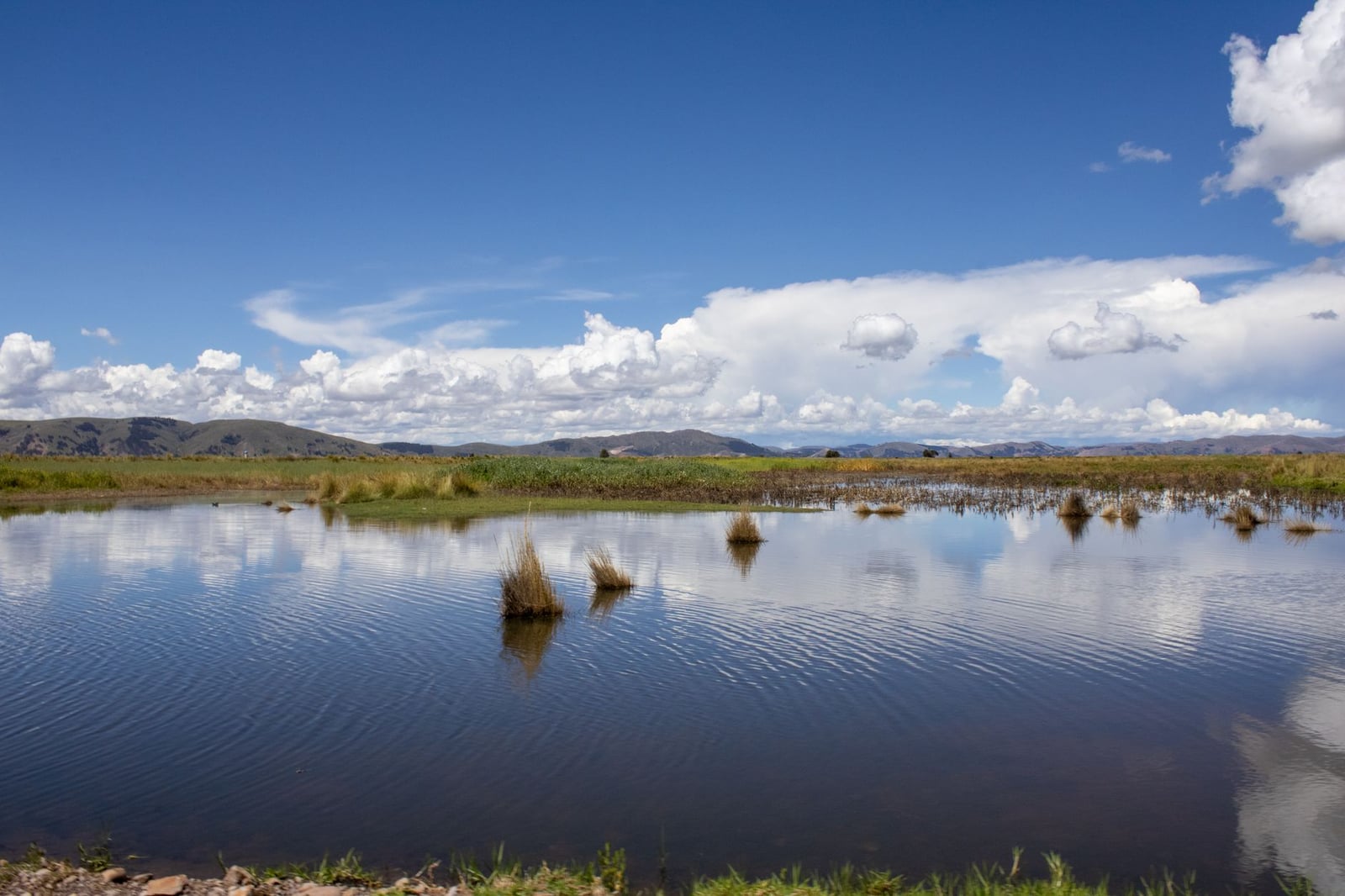 Hermoso paisaje en Puno, Perú, que presenta un río tranquilo y nubes esponjosas bajo un cielo azul brillante.