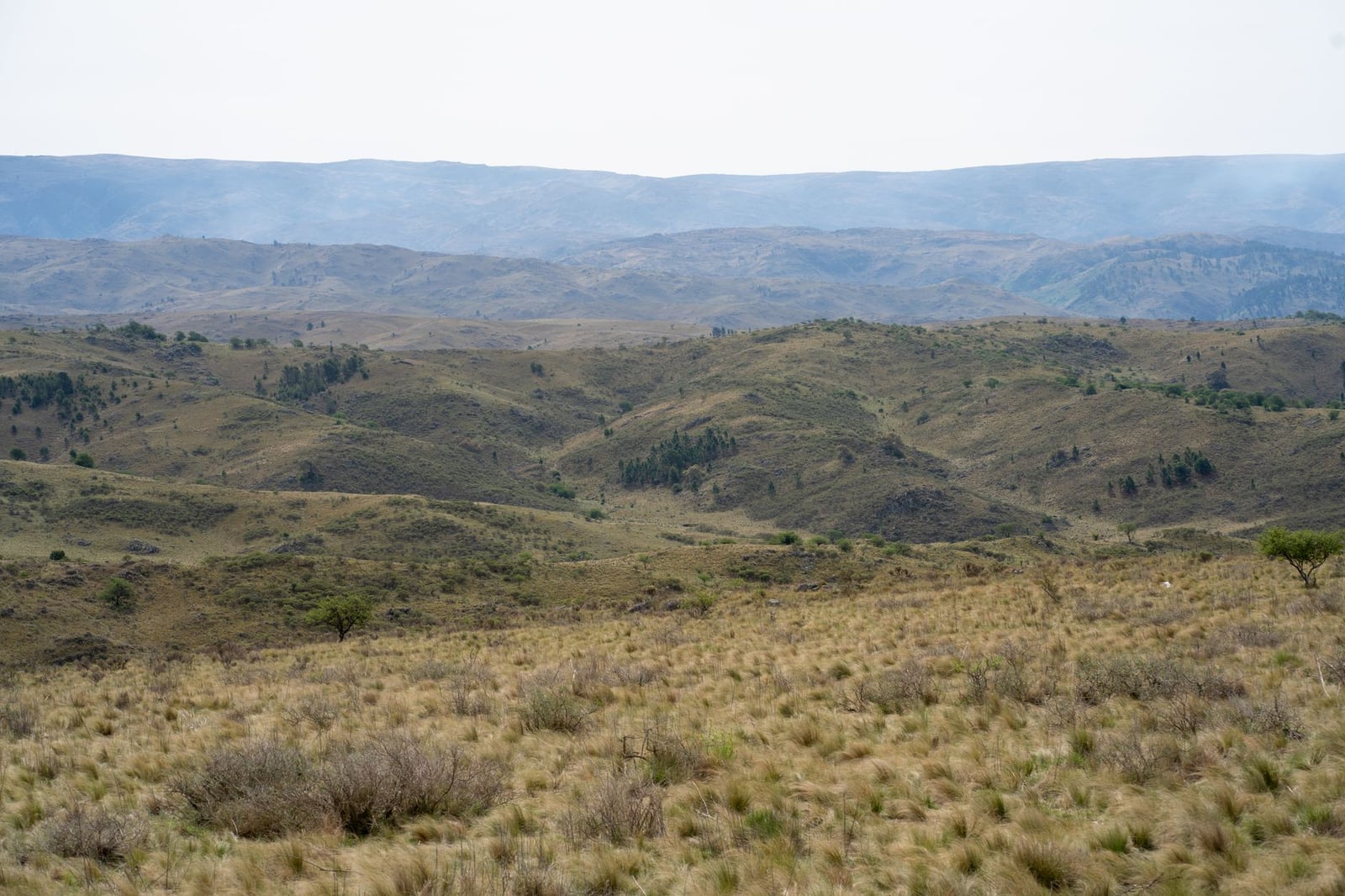 Explore el sereno paisaje montañoso de Córdoba, Argentina, que exhibe colinas onduladas y belleza natural.