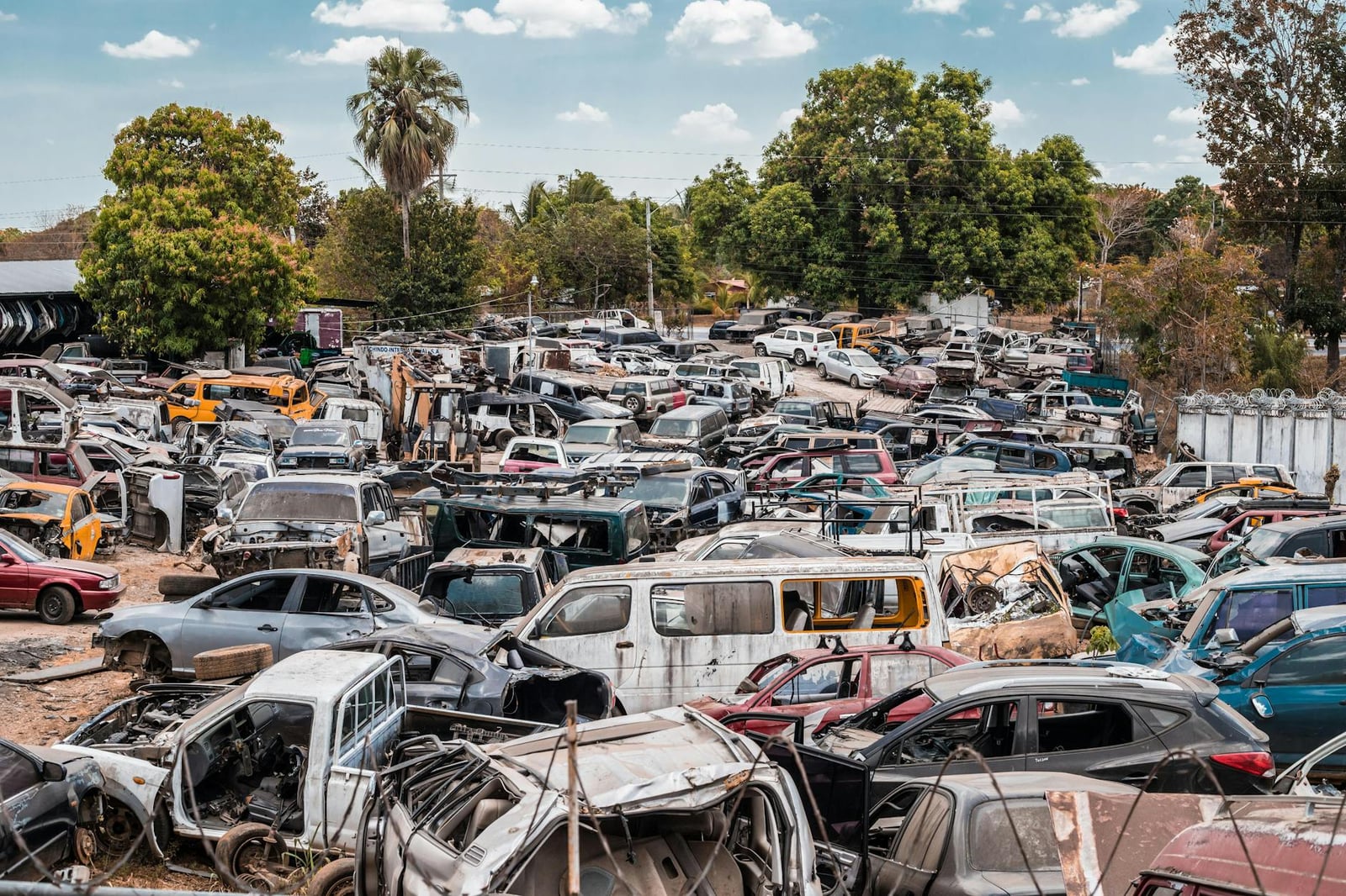 Autos Surtidos Estacionados Cerca De árboles