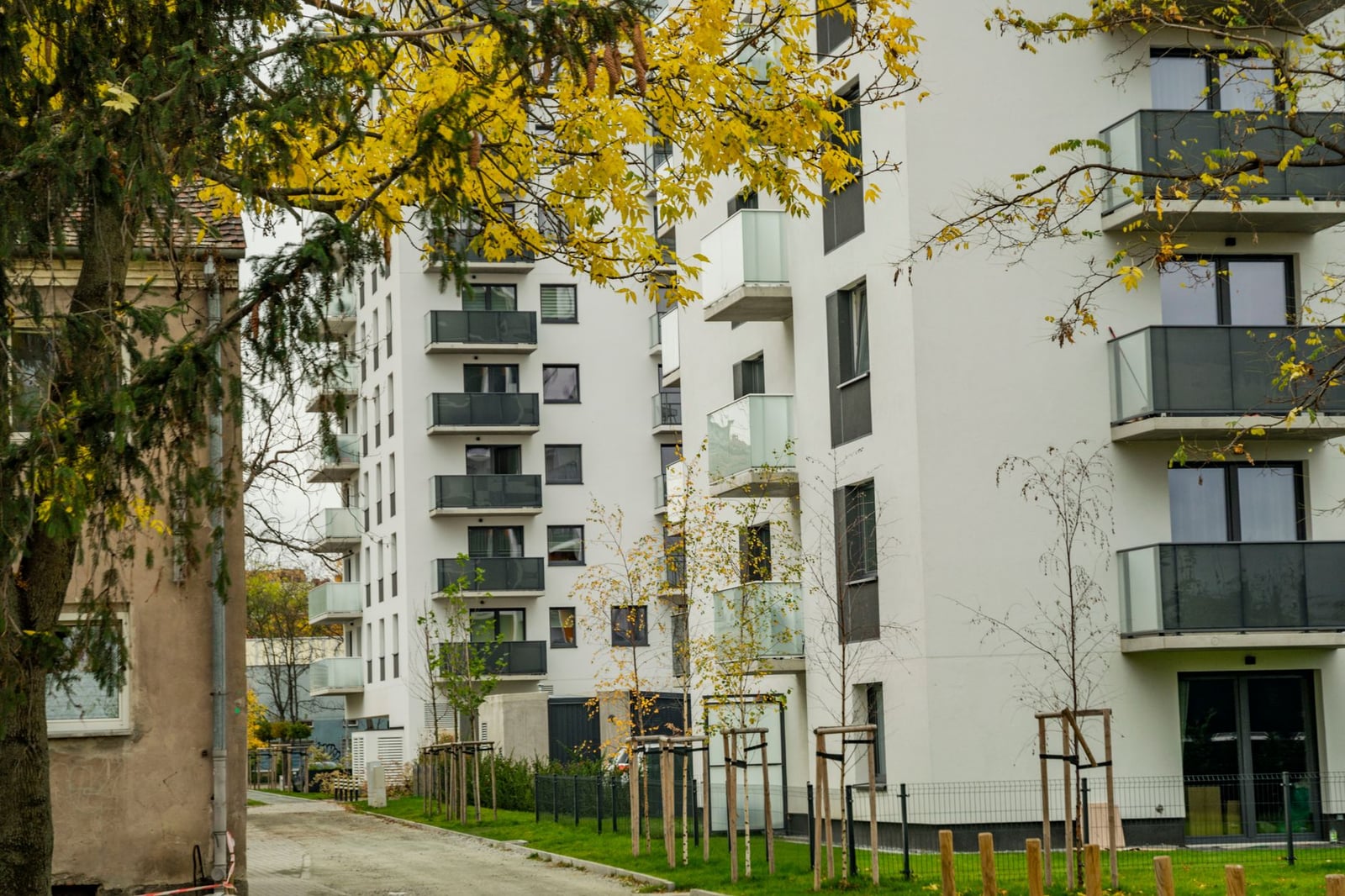 Edificios de apartamentos contemporáneos en una ciudad durante el otoño con hojas amarillas.