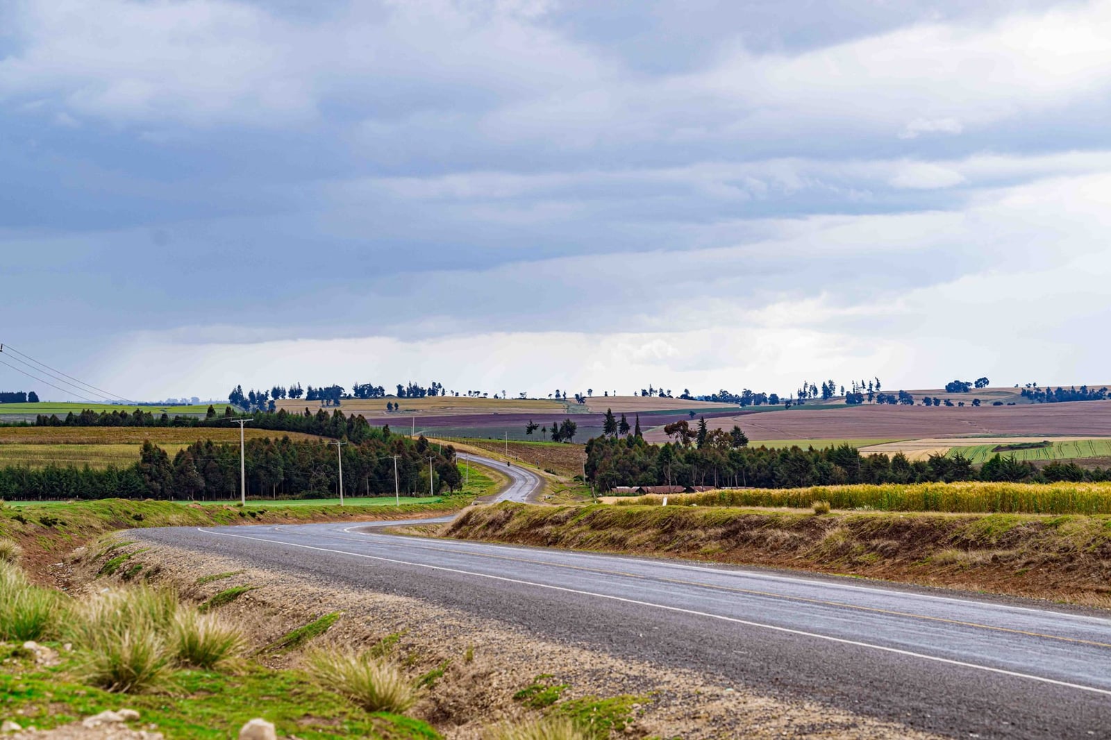 Hermoso camino rural que serpentea a través de los campos en Mau Narok, condado de Nakuru, Kenia.