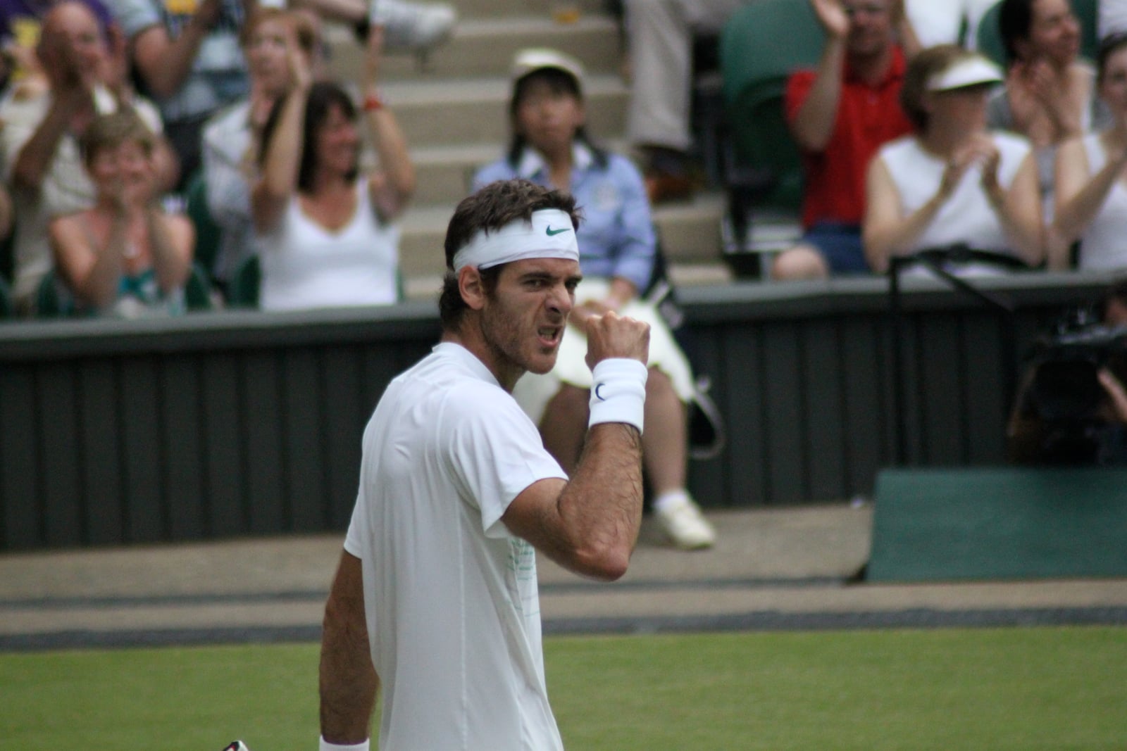 Del Potro celebrates