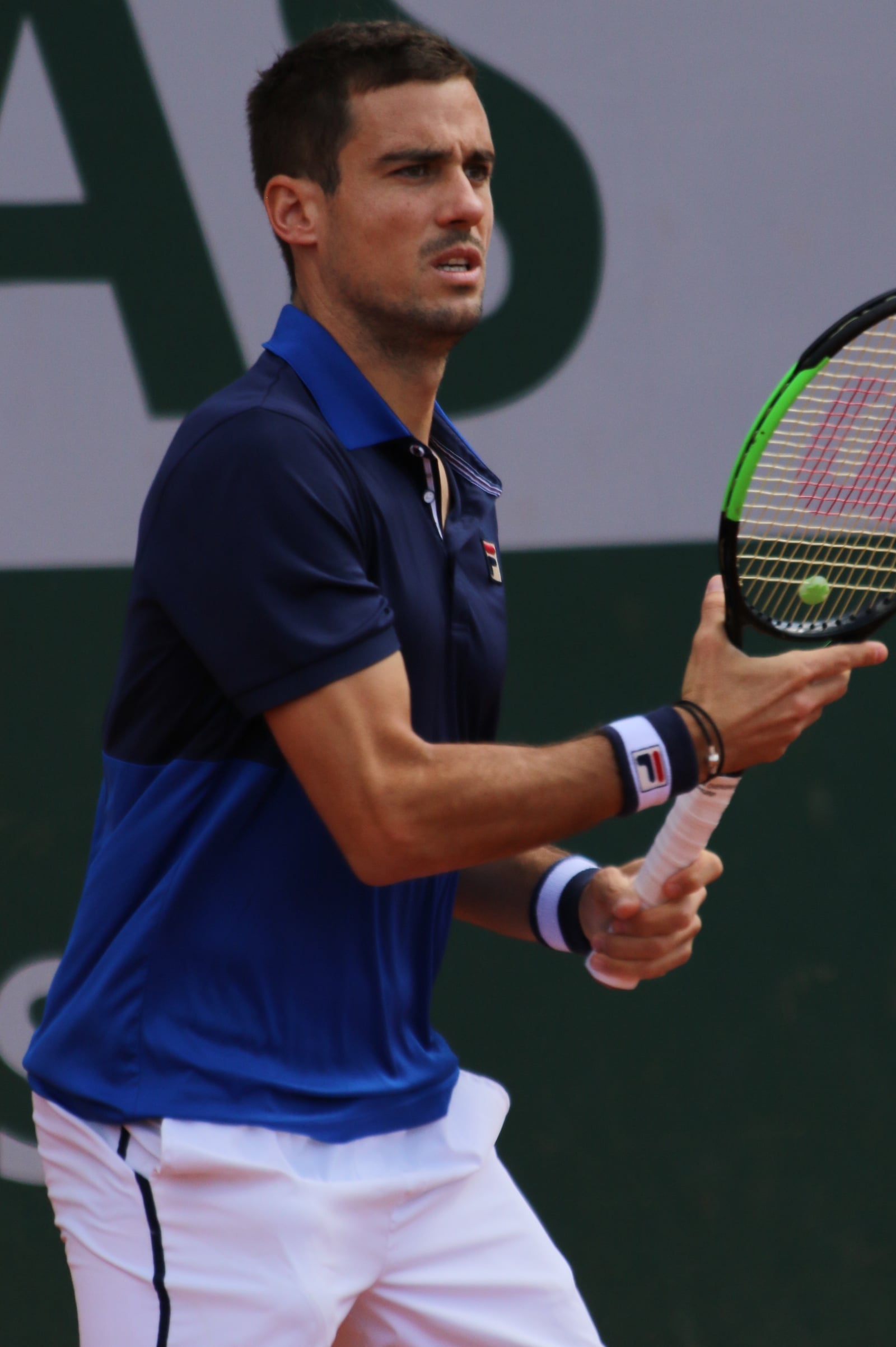Pella RG19 (2)