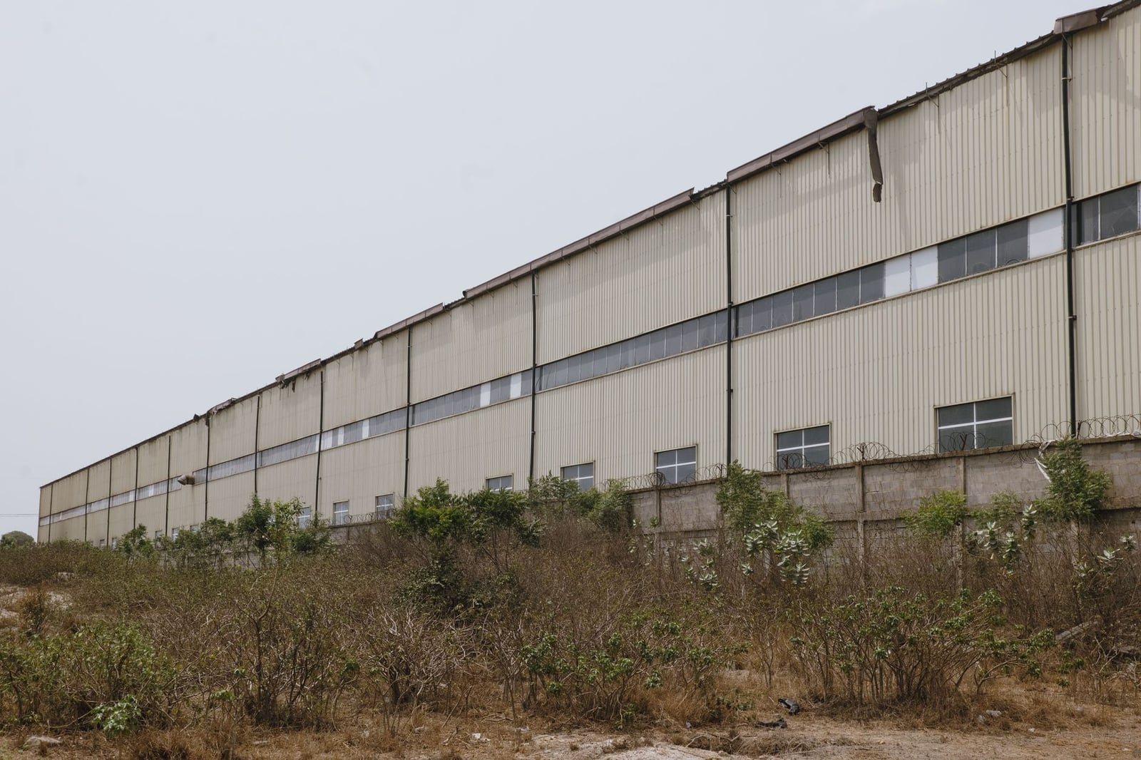 Vista lateral de un almacén abandonado rodeado de vegetación seca en una zona rural.