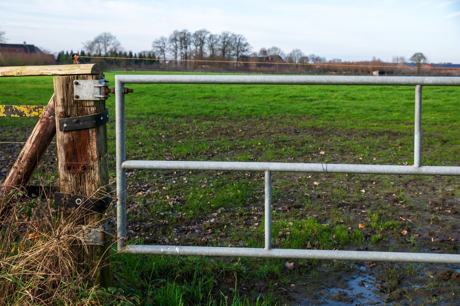 Una puerta de granja rústica se abre a un exuberante campo verde en el campo, capturando un paisaje rural sereno.