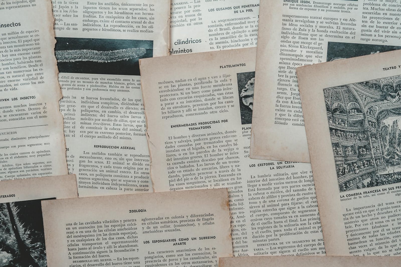 Una colección de páginas de libros antiguos españoles, que muestran literatura clásica y escritos históricos, Venezuela.