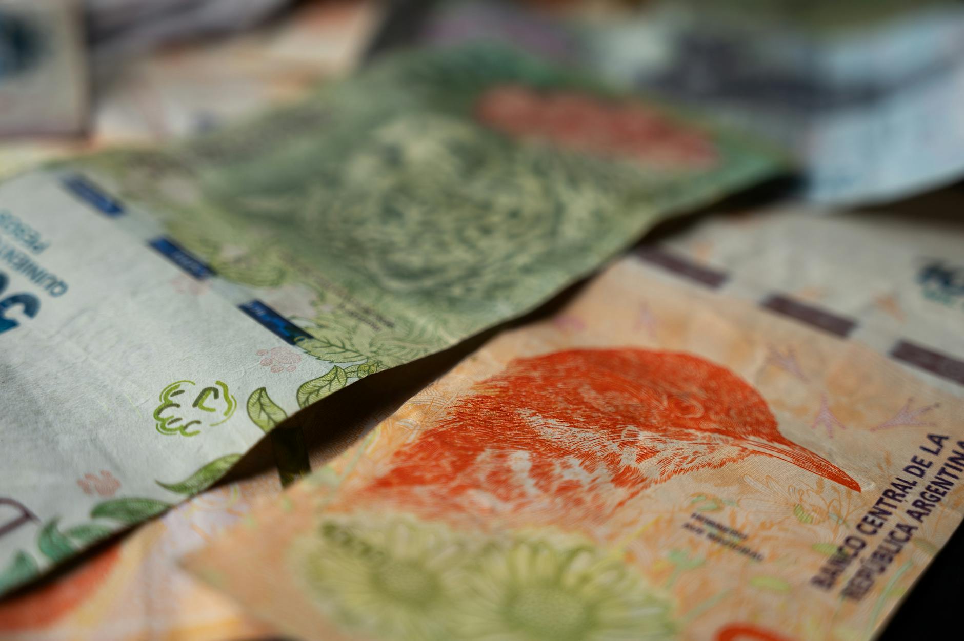 Primer plano de coloridos billetes de pesos argentinos, que muestran plantas y vida silvestre nativas.