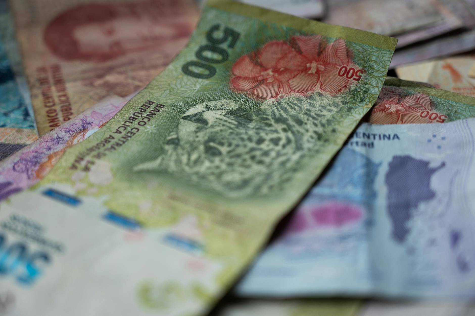 Fotos de stock gratuitas de 500 pesos, ahorros, América del sur