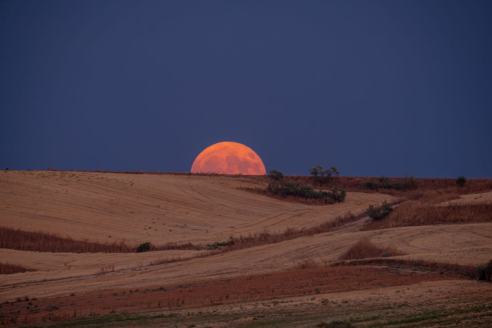 Una imagen impresionante de una luna de sangre saliendo sobre colinas áridas del desierto bajo un cielo crepuscular.