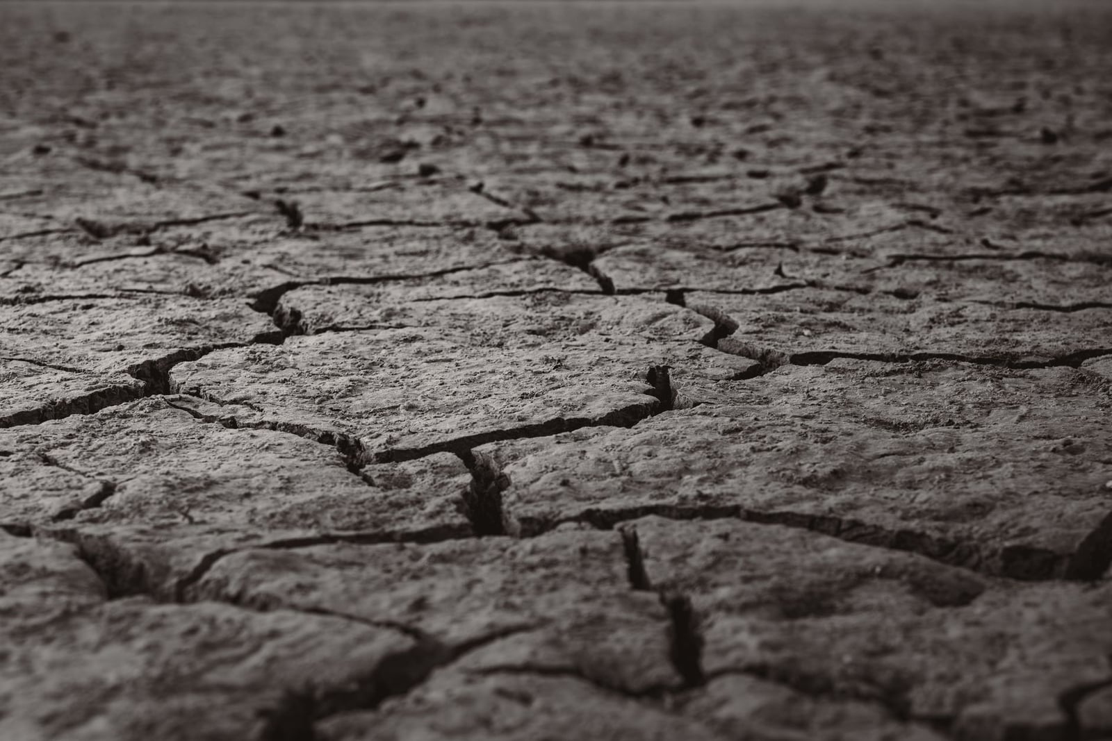 Una textura detallada de tierra agrietada y reseca, que simboliza la sequía y la sequedad en Ankara, Turquía.