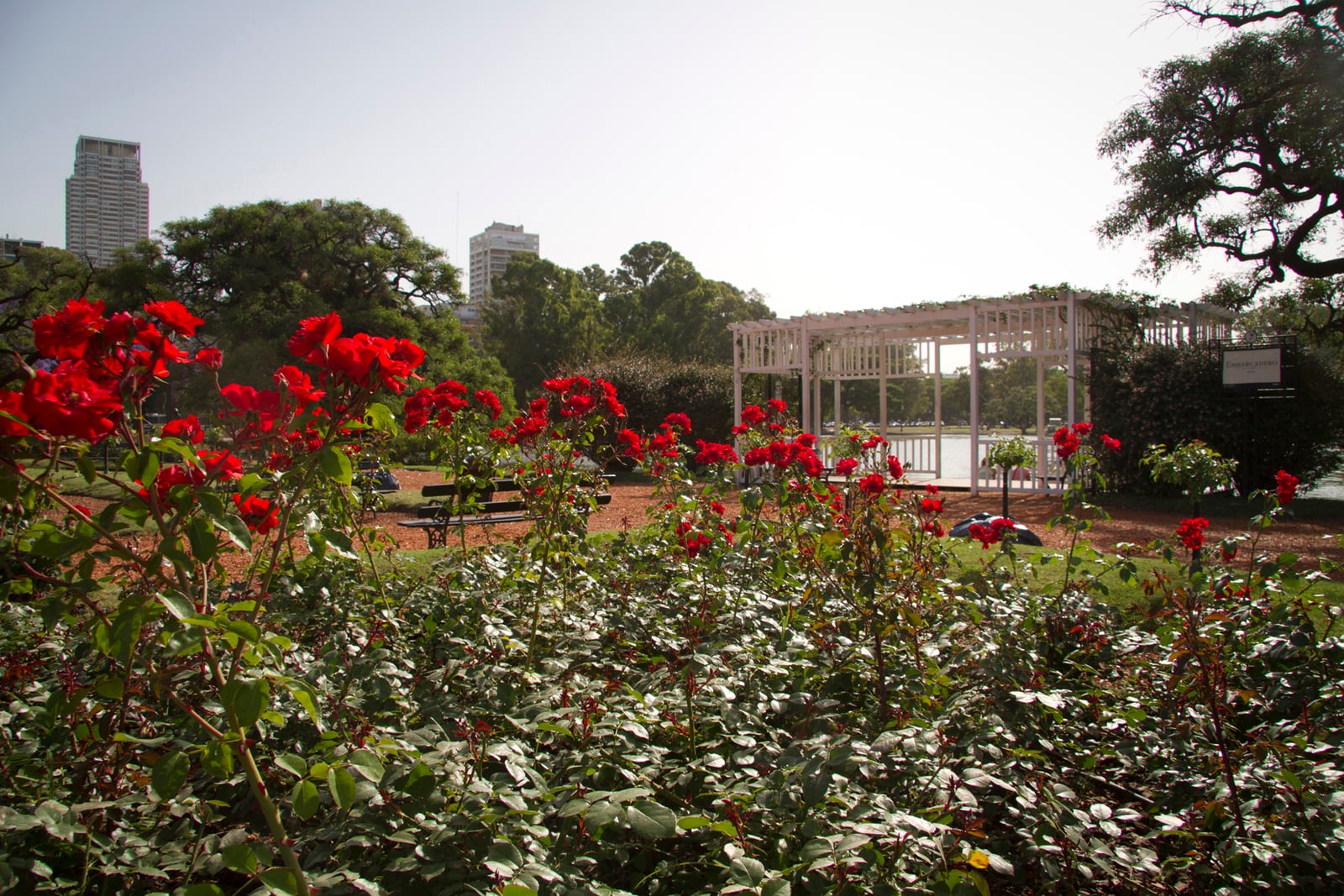 El Rosedal es el corazón del Parque Tres de Febrero. ( Foto: Estrella Herrera)
