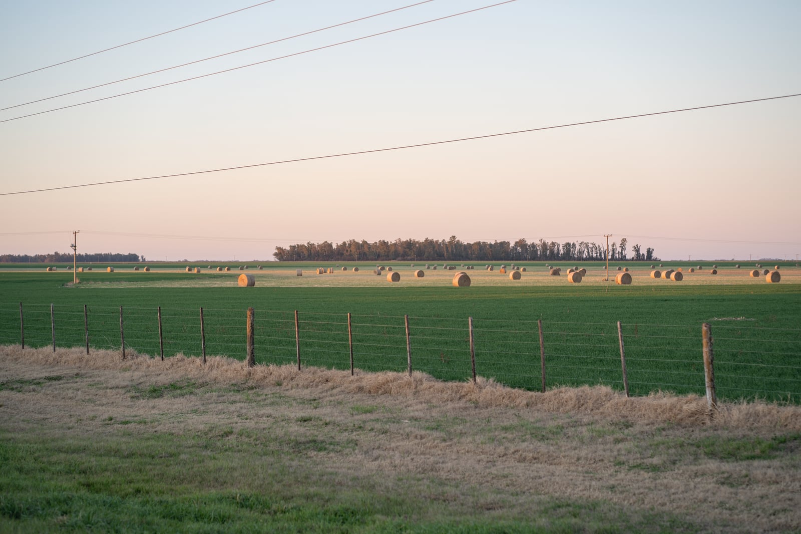 Hermosa tierra de cultivo con fardos de heno en La Carlota, Córdoba, Argentina al amanecer mostrando la agricultura rural.