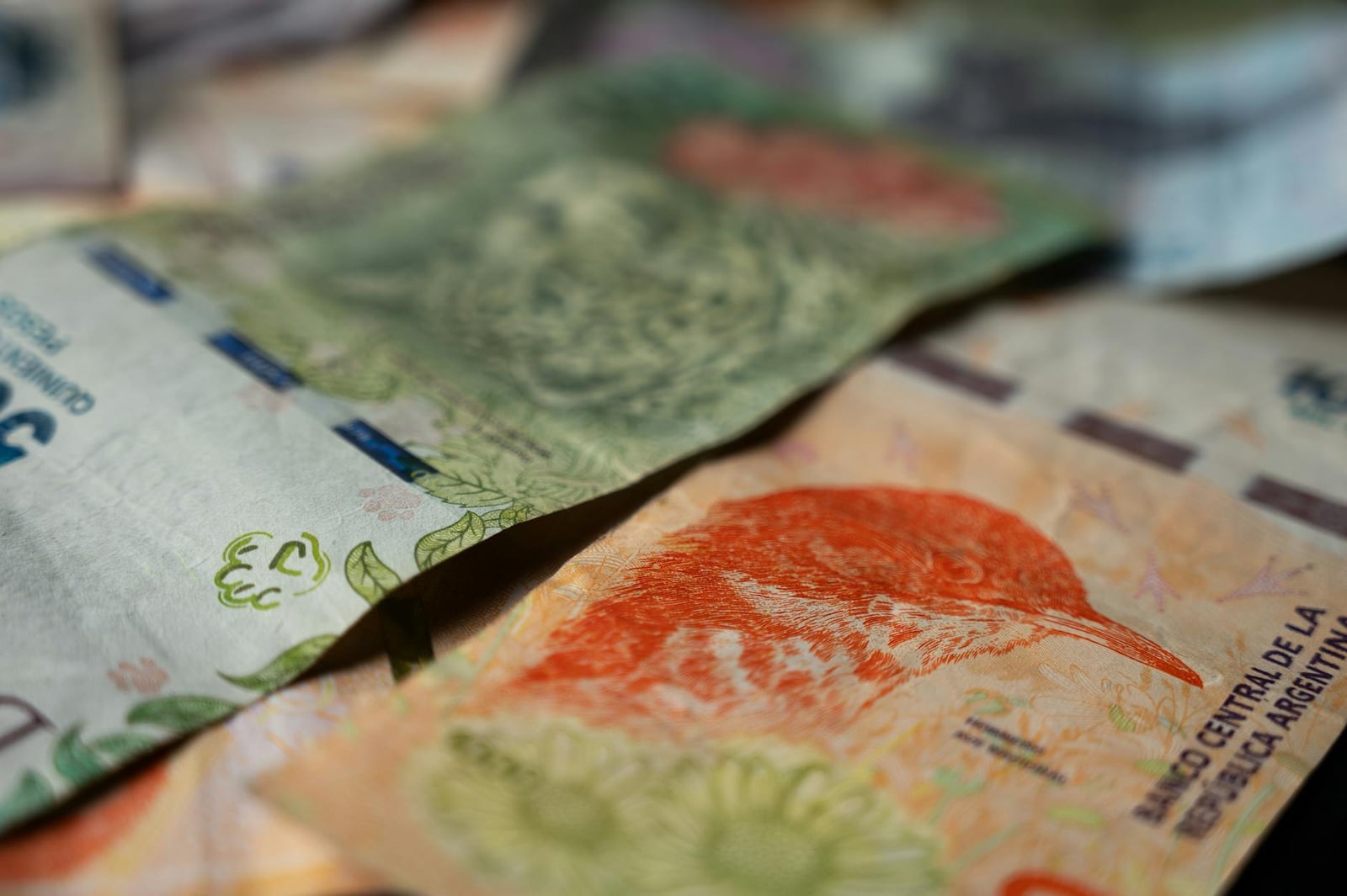 Primer plano de coloridos billetes de pesos argentinos, que muestran plantas y vida silvestre nativas.