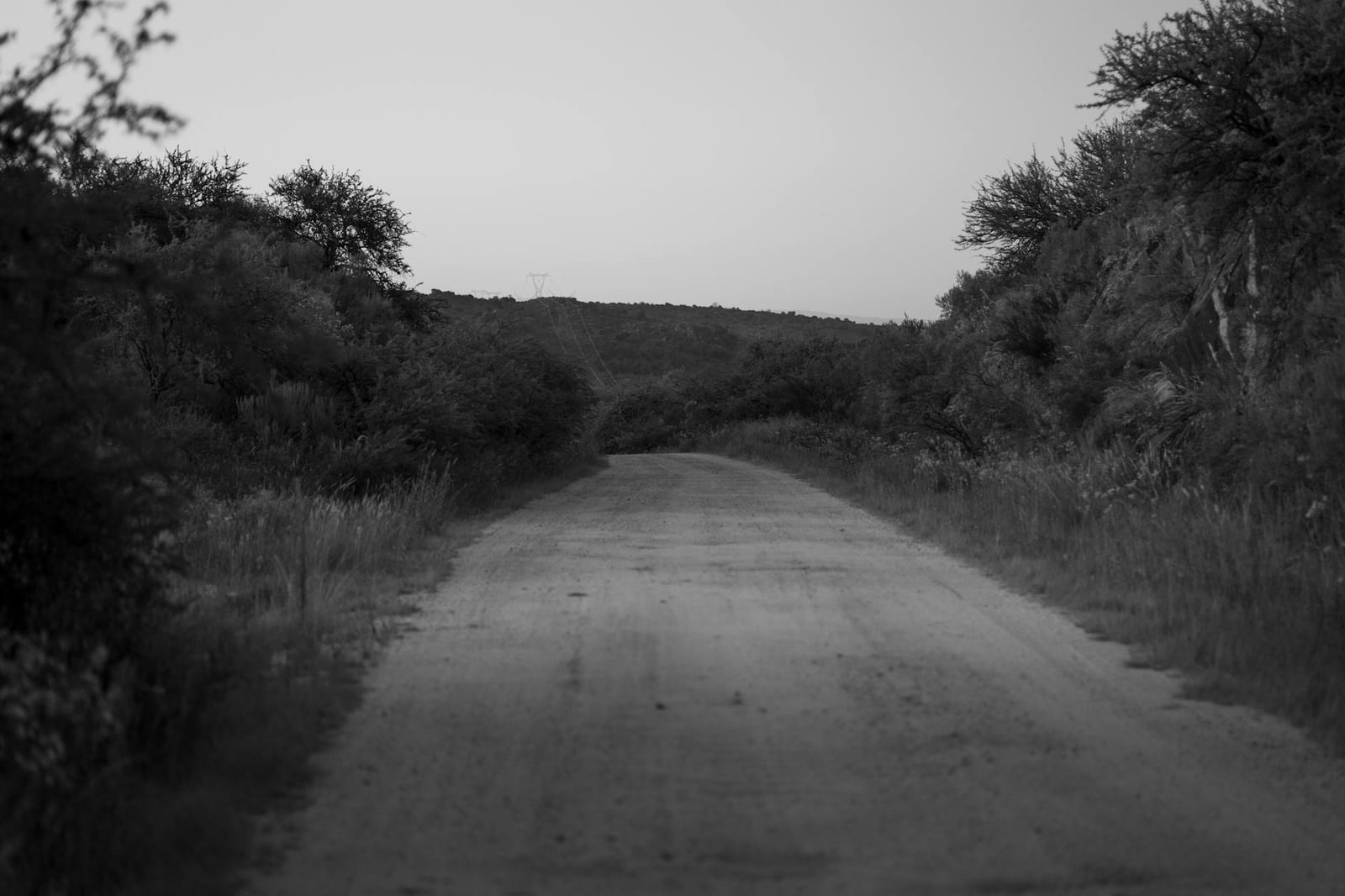 Un tranquilo camino rural en Córdoba, Argentina, rodeado de exuberante vegetación, capturado al atardecer.