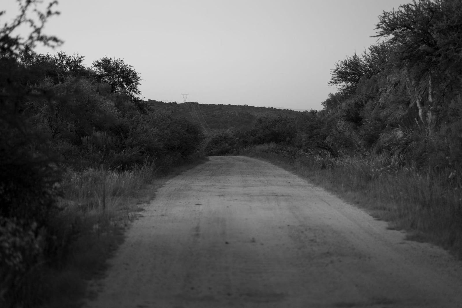 Un tranquilo camino rural en Córdoba, Argentina, rodeado de exuberante vegetación, capturado al atardecer.