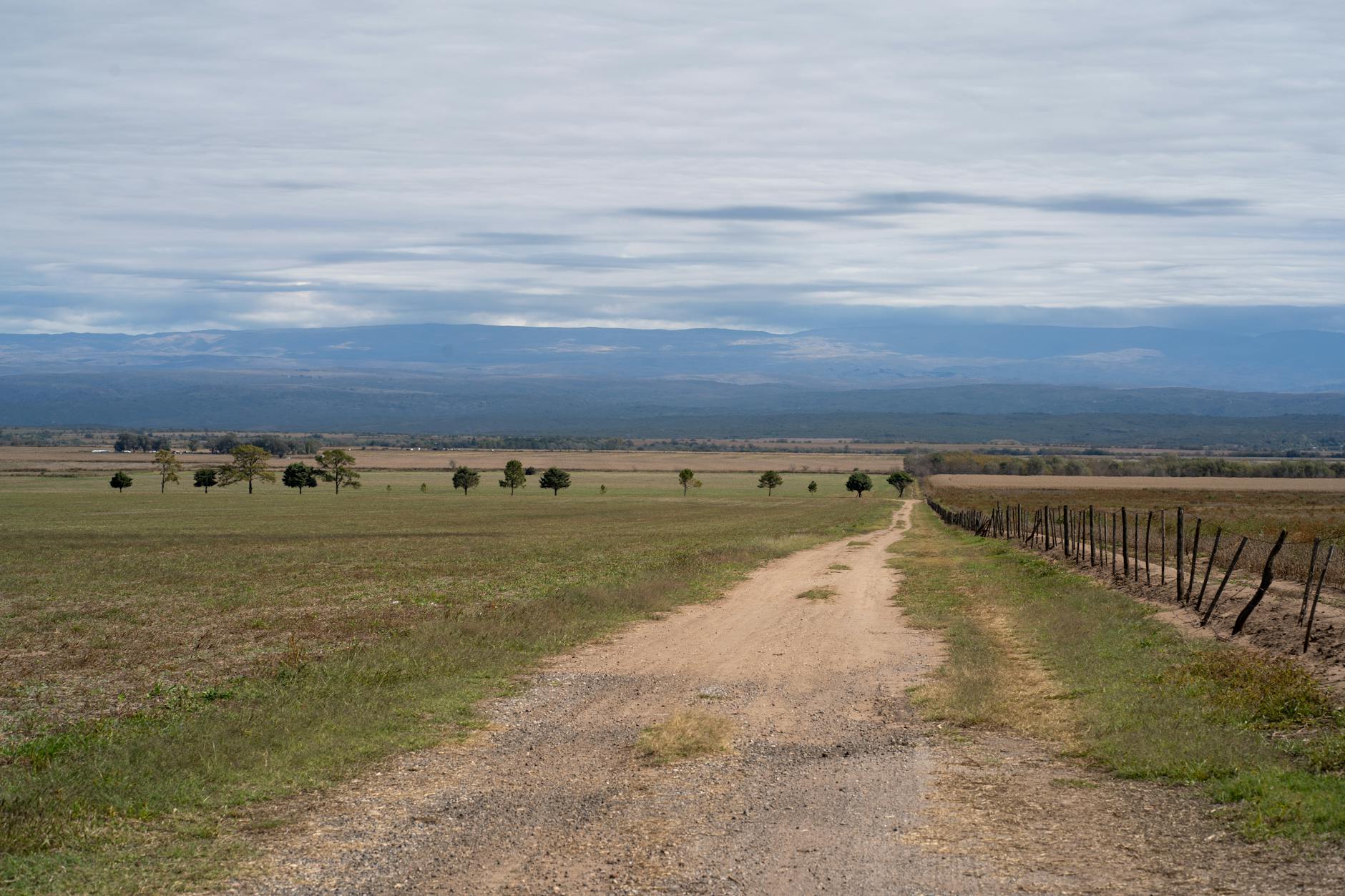 Explora los vastos paisajes de La Cruz, Córdoba con esta tranquila vista de camino de tierra.