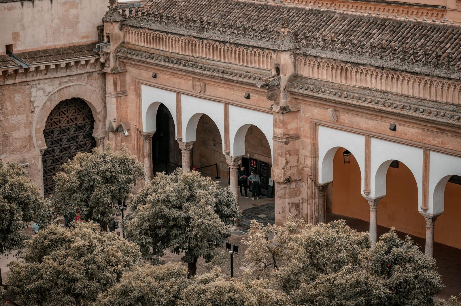 Fotos de stock gratuitas de al aire libre, andalucía, arboles