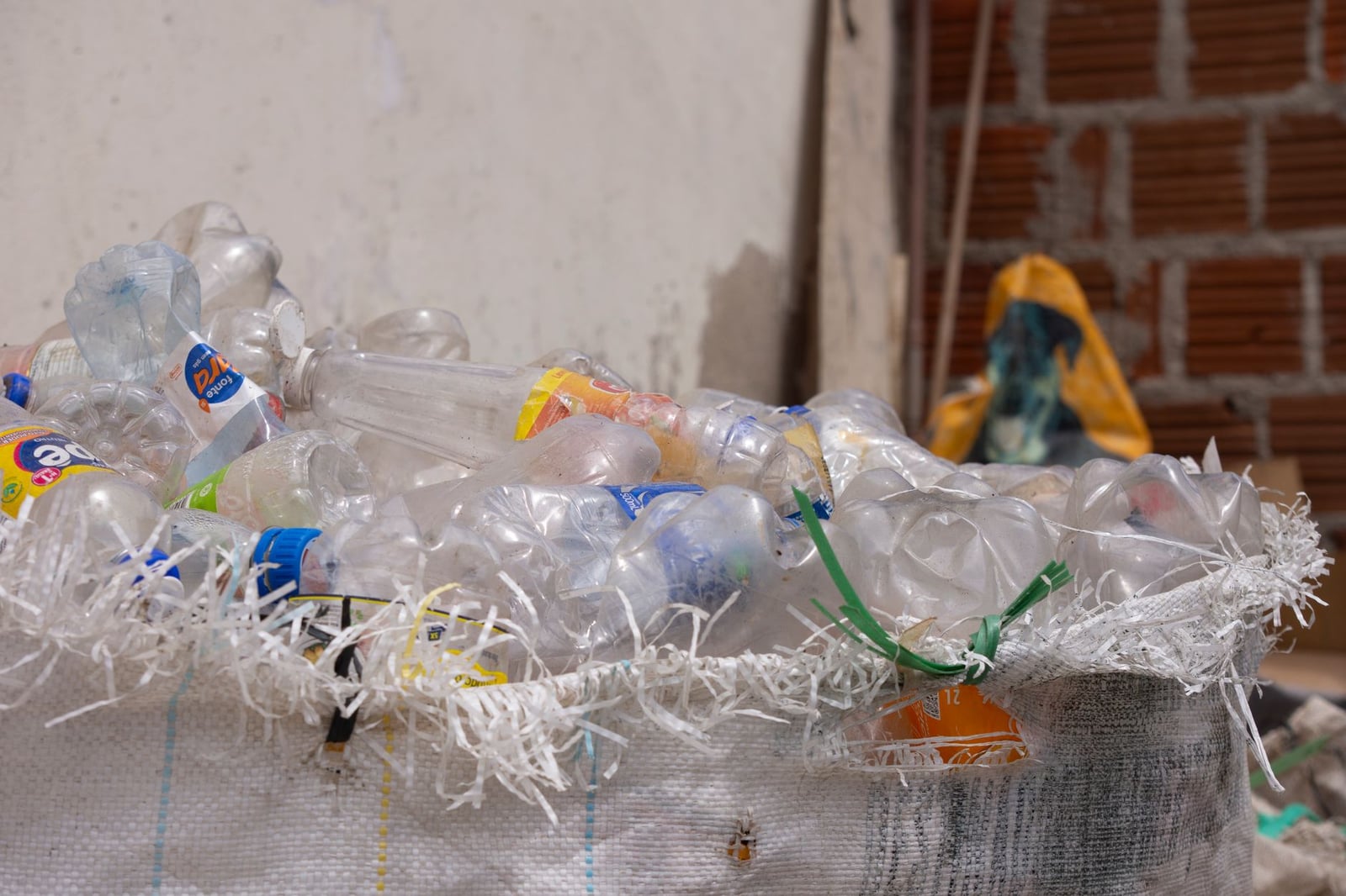 Una colección de botellas de plástico en un contenedor, listas para reciclar, al aire libre.