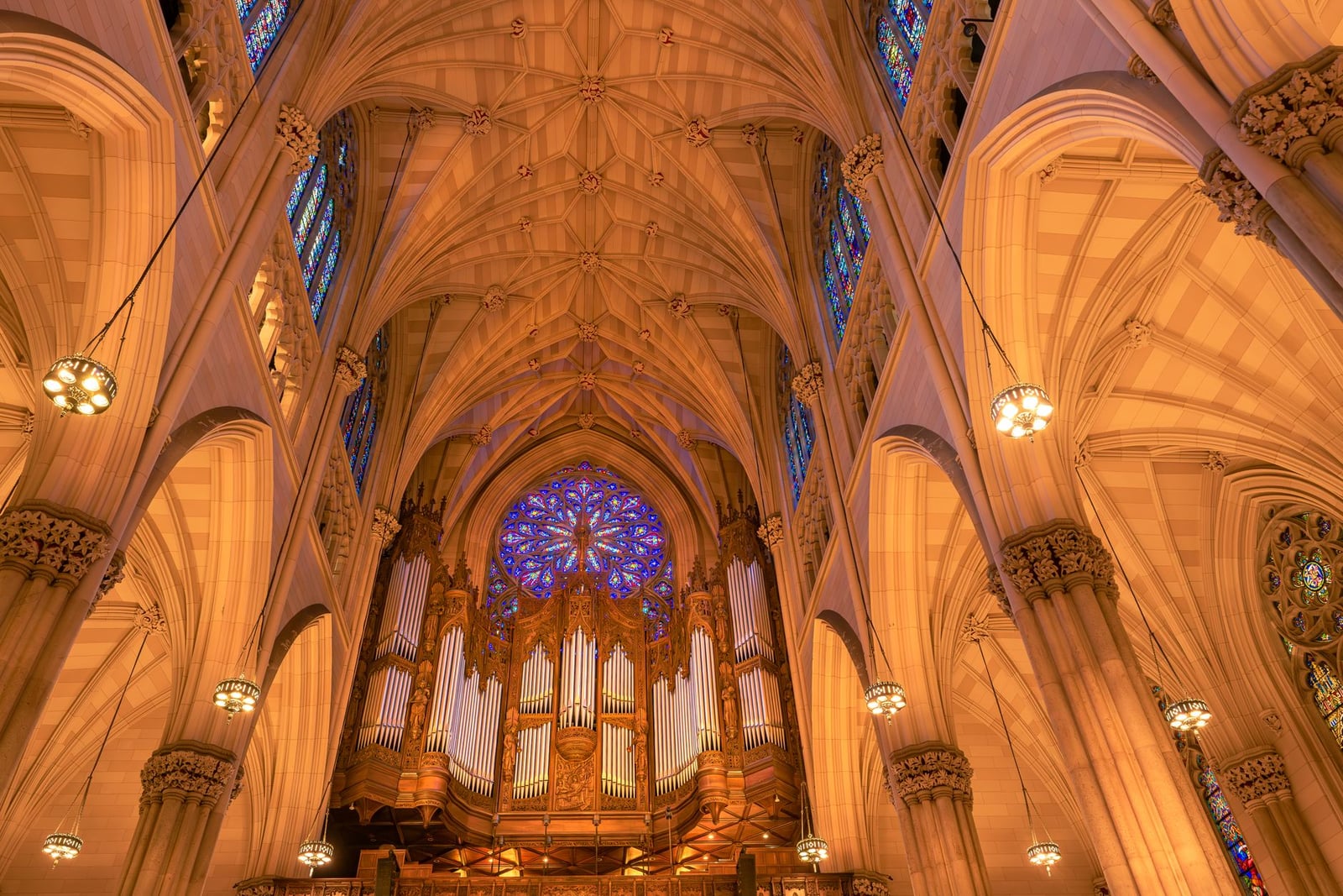 Vista interior de la Catedral de San Patricio que muestra la impresionante arquitectura y el órgano de tubos.