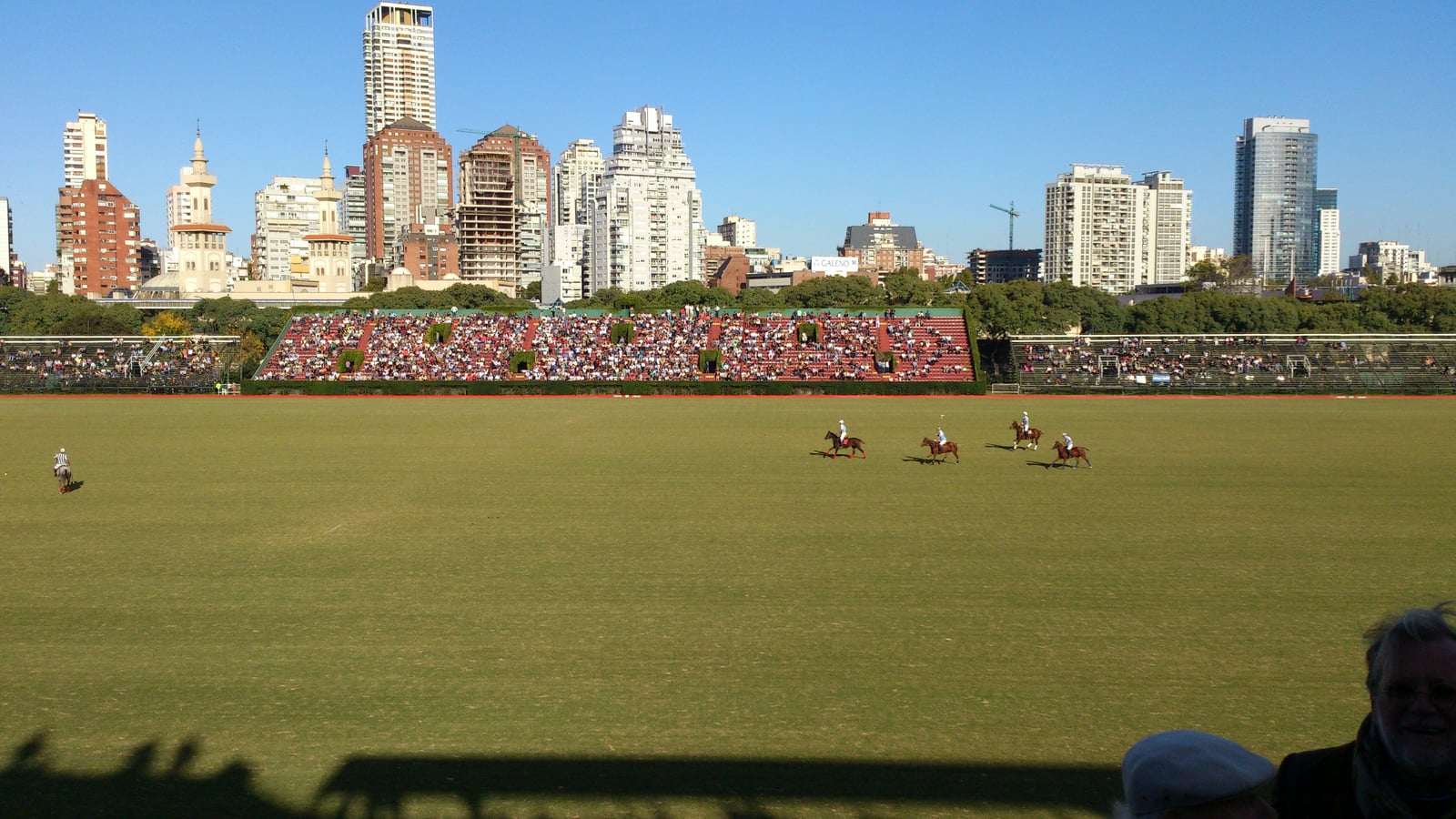 Polo match