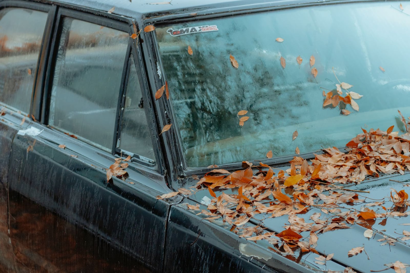 Primer plano de un automóvil clásico con hojas de otoño, capturando una vibra nostálgica en Chillán, Chile.