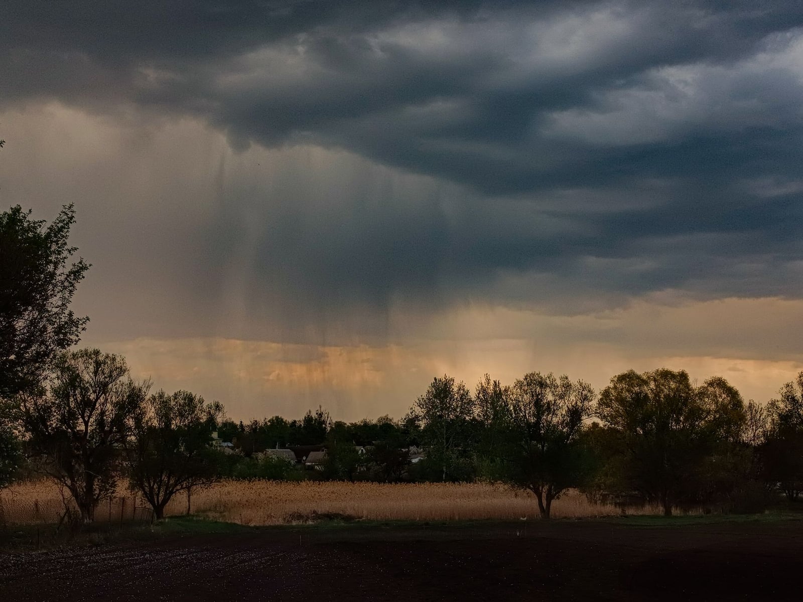 Nubarrones oscuros se ciernen sobre un campo, presagiando lluvia inminente. Capturada con todo detalle, esta escena evoca la sensación de un cambio climático inminente.