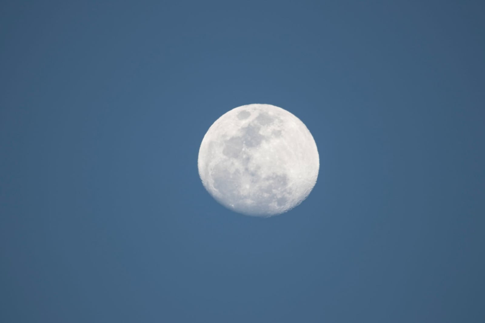 Primer plano de la luna llena visible en un cielo azul brillante. Capturada durante el día.