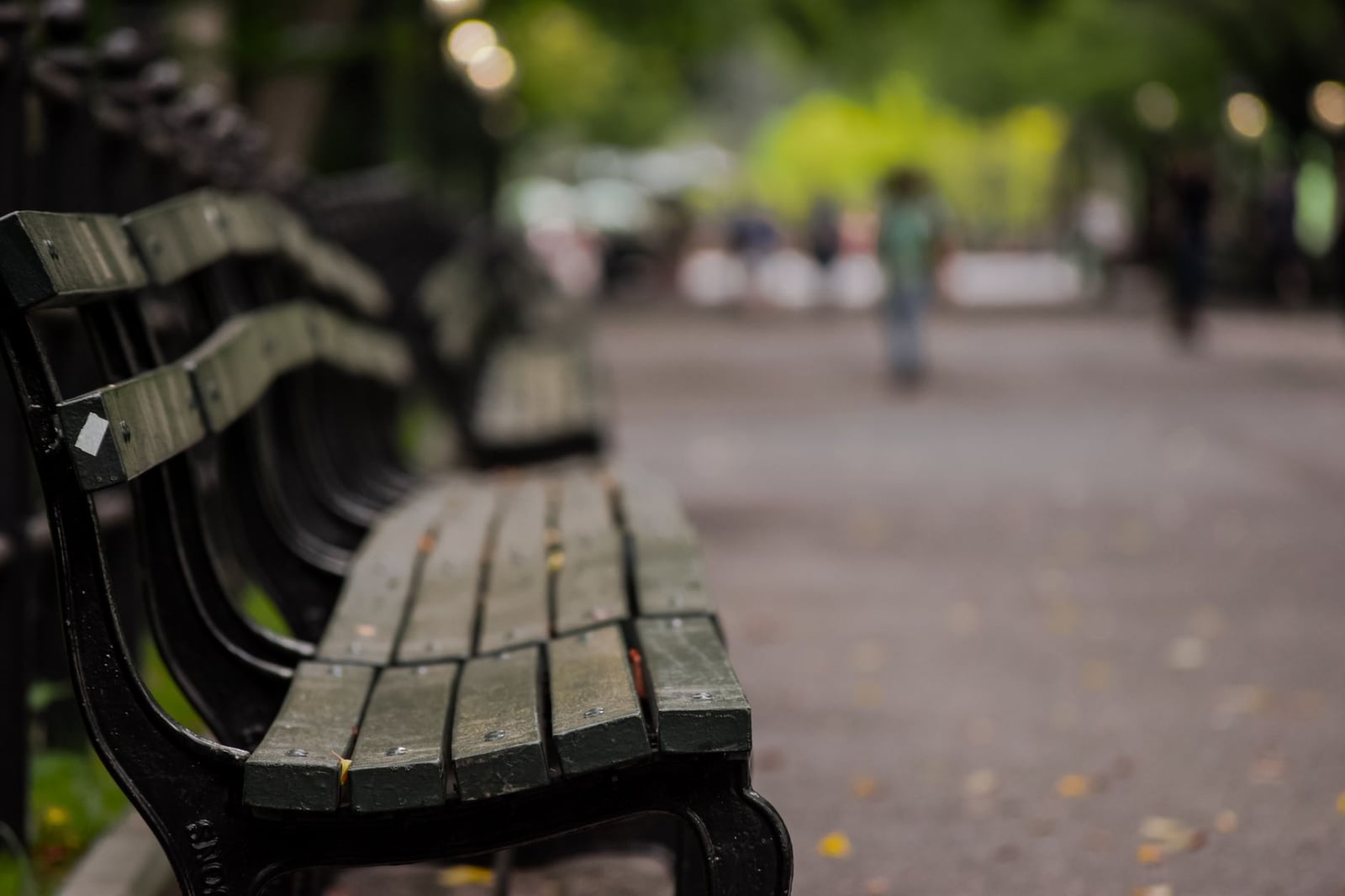 Camino pacífico con banco de parque alineado en Central Park, Nueva York, con un suave efecto bokeh.