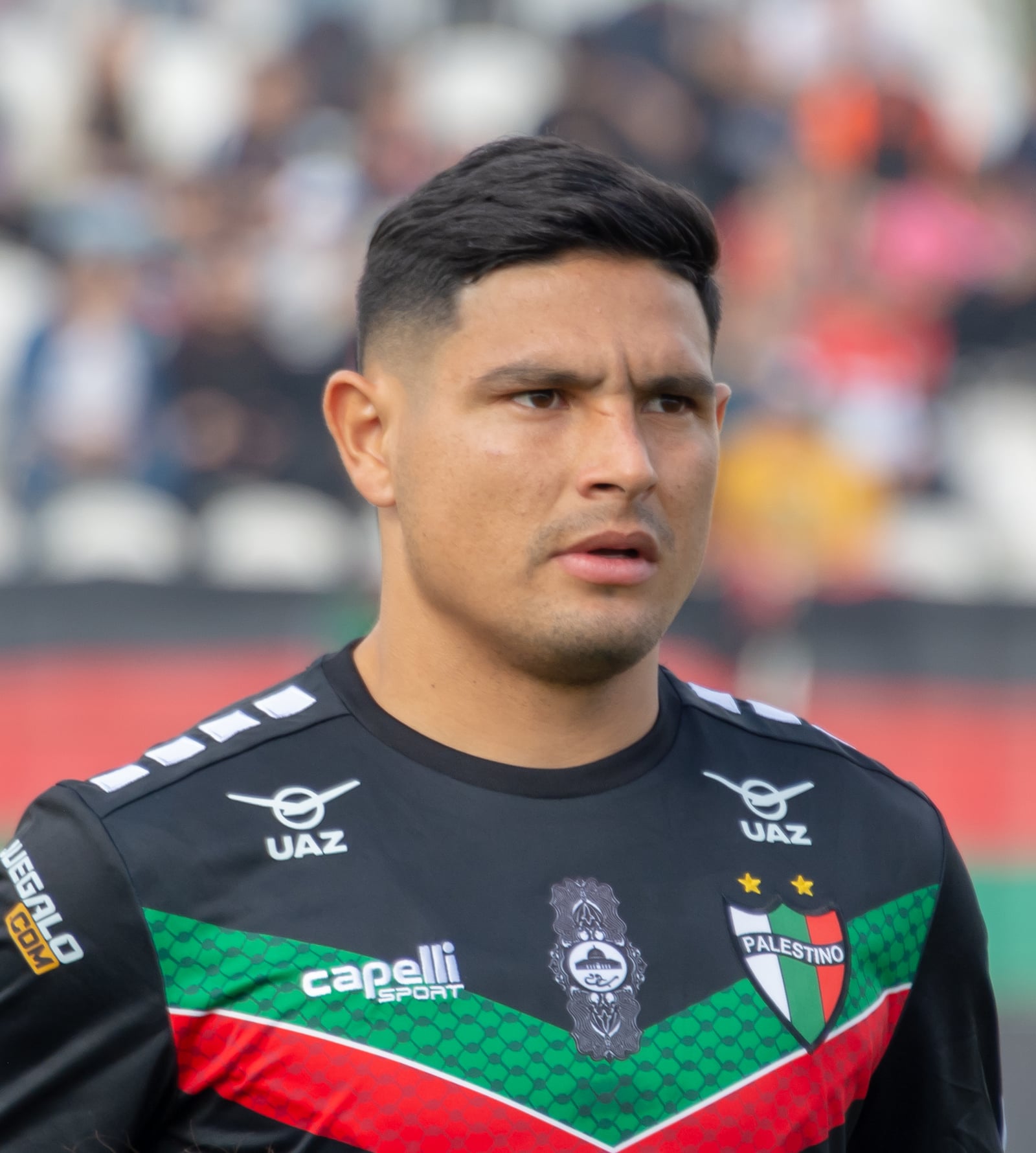 Palestino v Deportes Copiapó, Estadio Municipal de La Cisterna, Santiago, Región Metropolitana, Chile