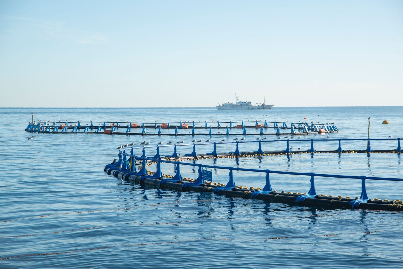 Vista aérea de instalaciones de pescado en un entorno oceánico tranquilo con un barco a lo lejos.