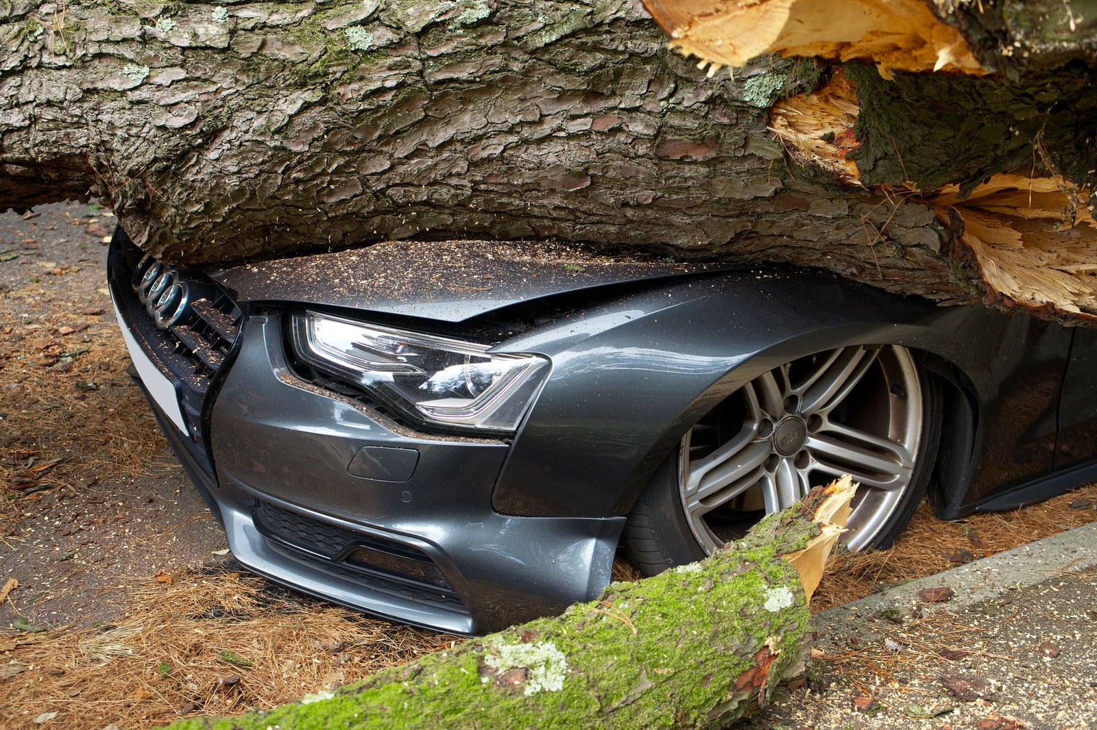 Un vehículo dañado por un árbol caído tras un accidente en el Reino Unido.
