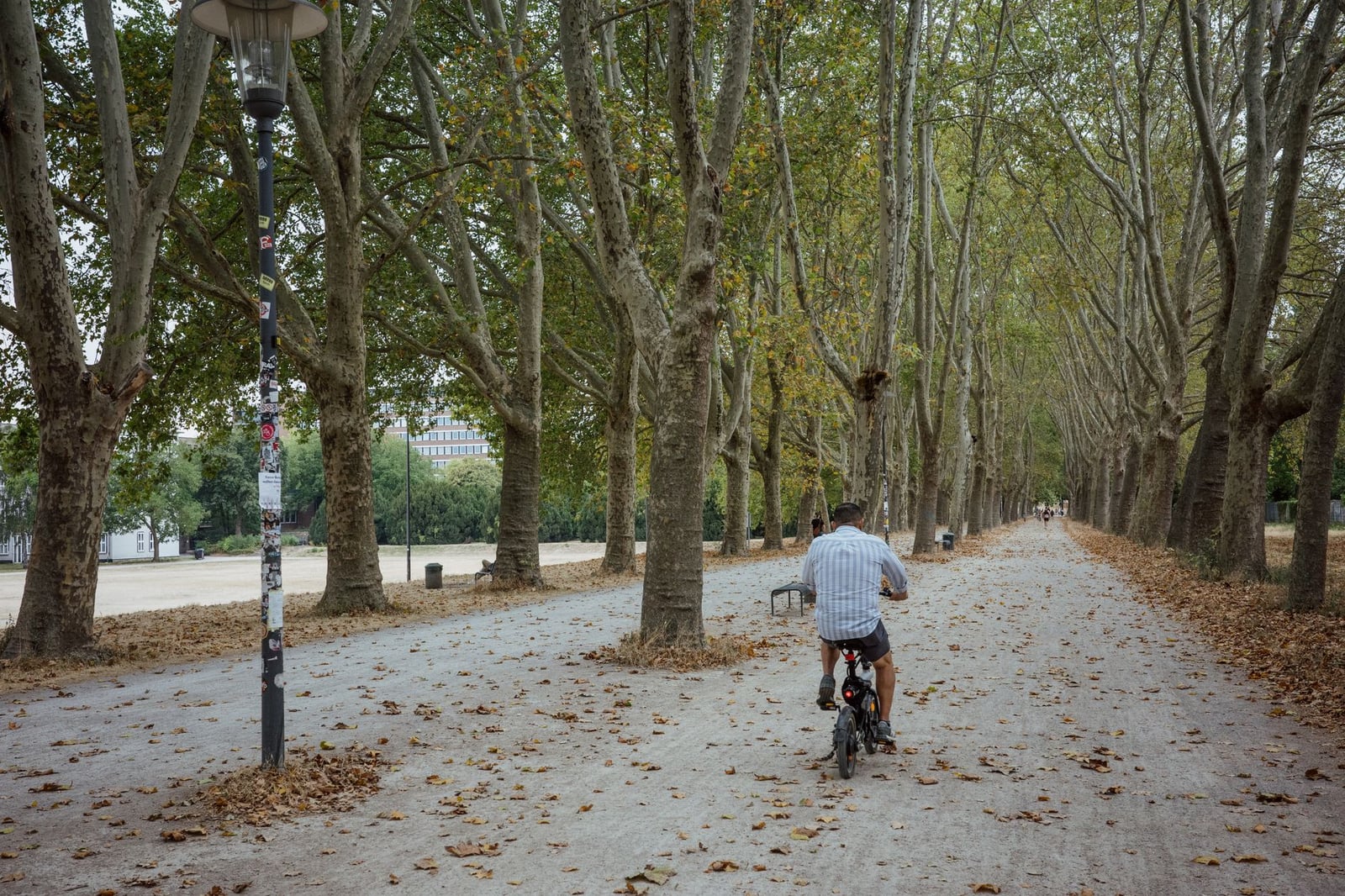 Un hombre monta en bicicleta por un sendero arbolado cubierto de hojas otoñales.