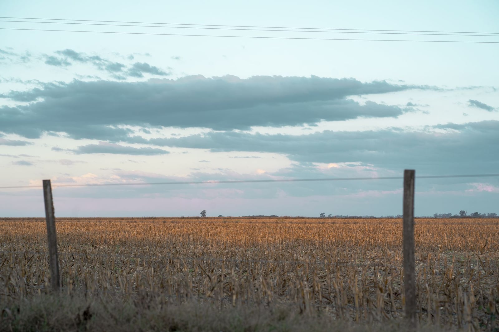 Escena rural pacífica de un campo cosechado durante el anochecer en Córdoba, Argentina.