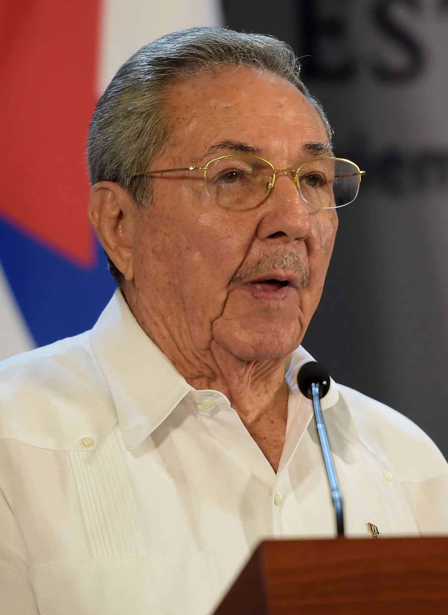 Visita de Estado del Presidente de República de Cuba, Raúl Castro