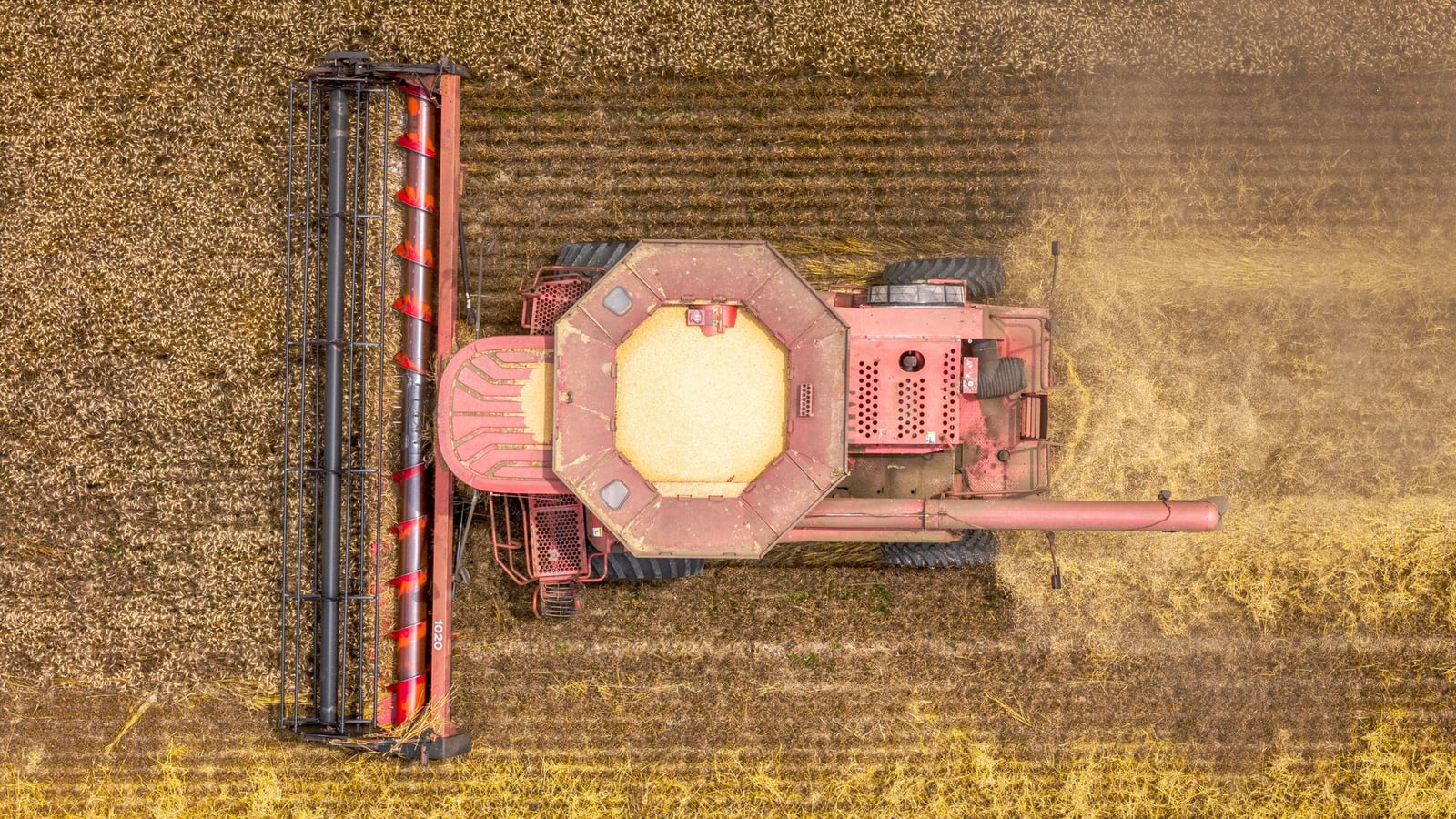 Fotos de stock gratuitas de agricultura, agricultura aérea, agricultura al aire libre