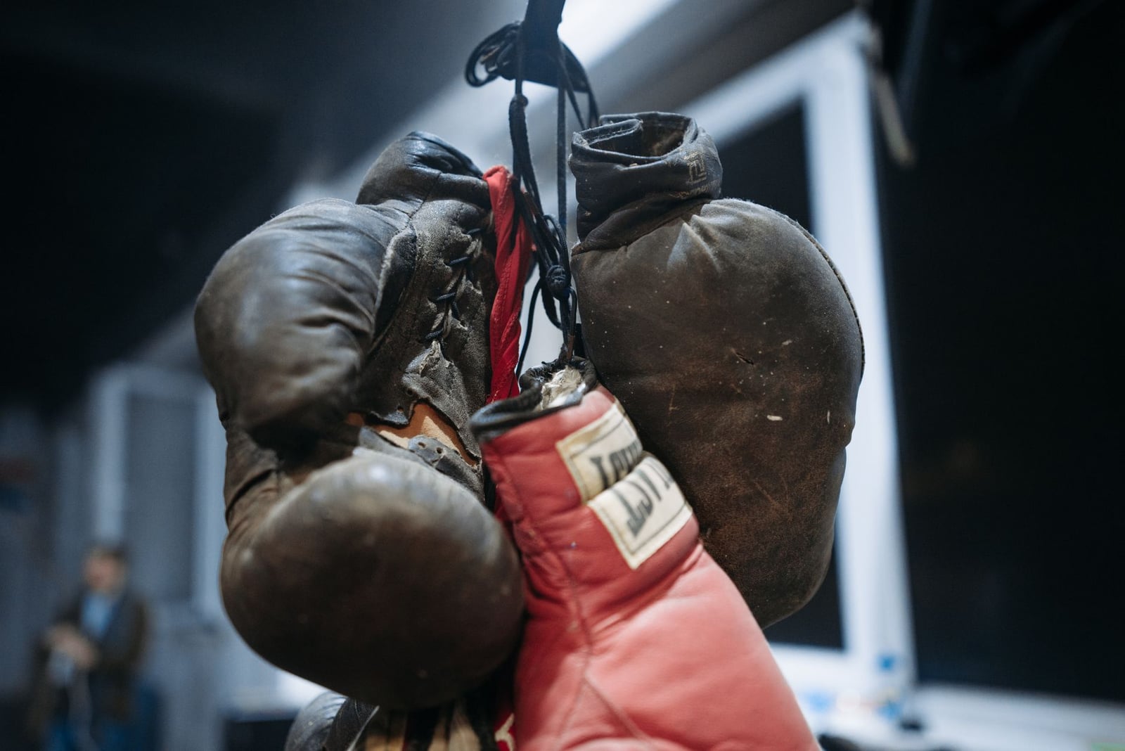 Guantes de boxeo vintage y modernos colgados en un gimnasio, capturando el contraste entre lo antiguo y lo nuevo.