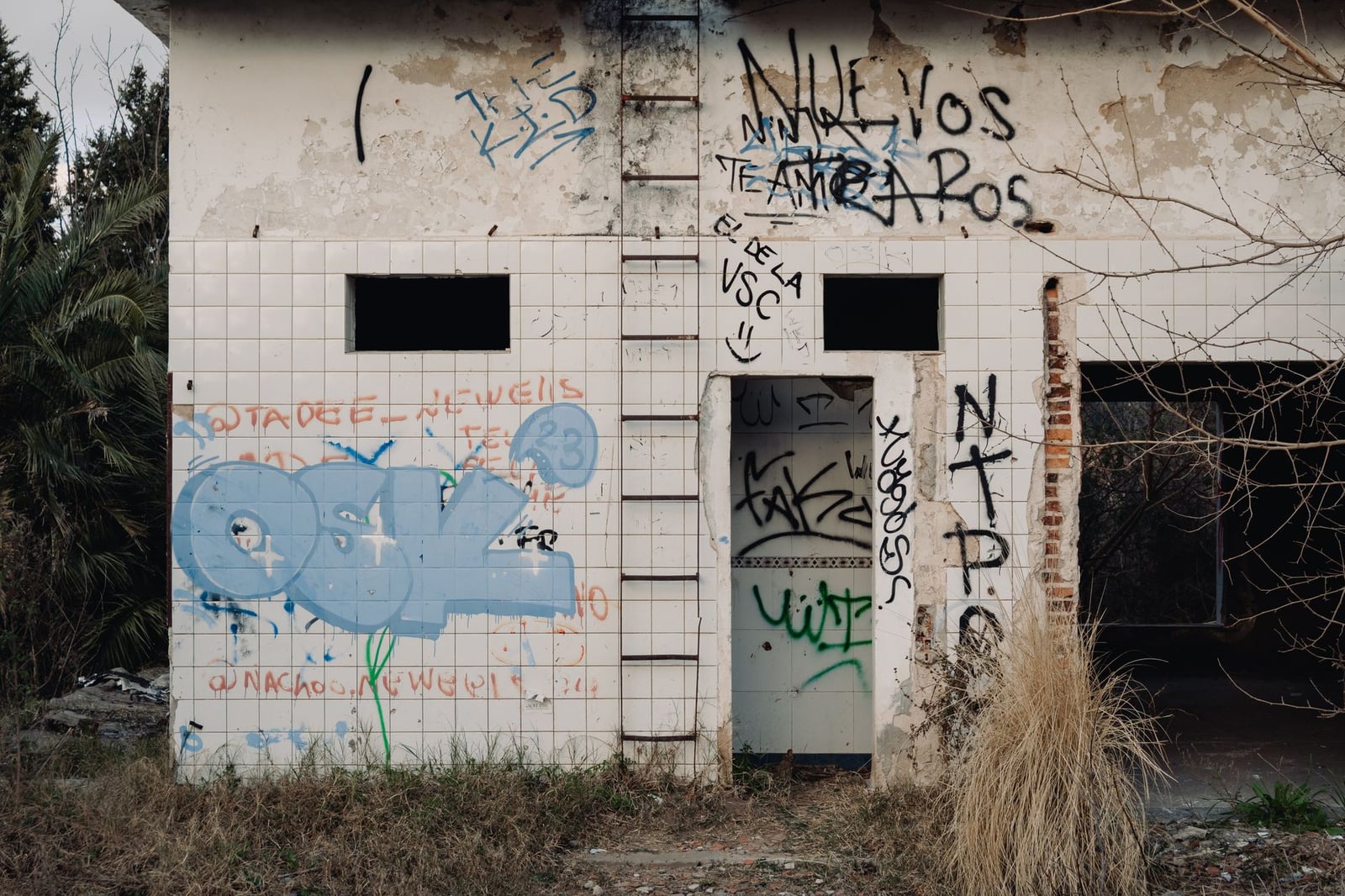 Explora la decadencia urbana con grafitis vívidos en un edificio abandonado en Rosario, Argentina.
