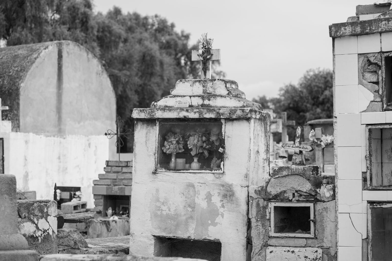 Explora tumbas históricas en un cementerio rural en San José de Las Salinas, Argentina.