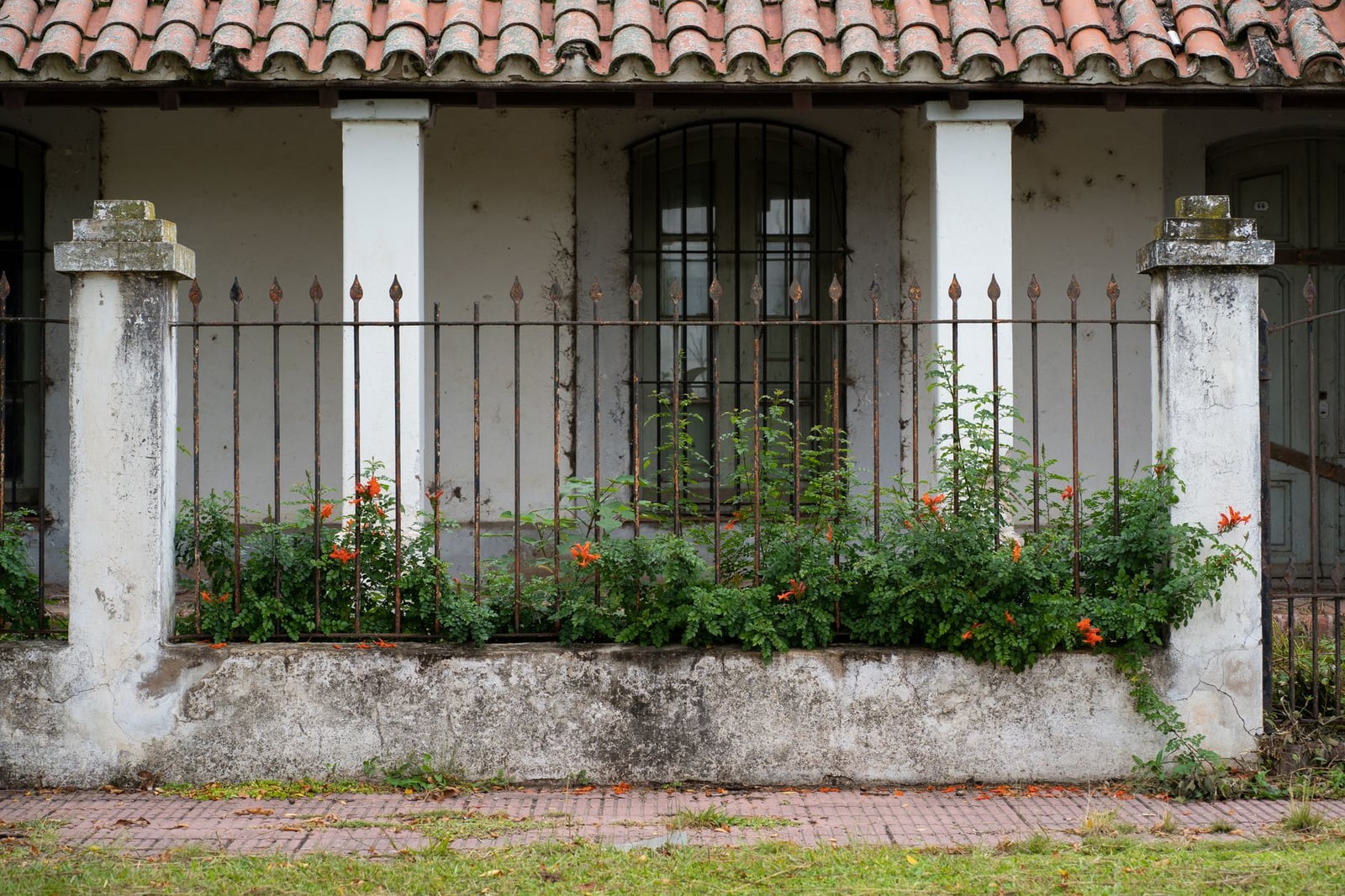 Fachada de casa abandonada con flores y reja de hierro en Córdoba, Argentina.
