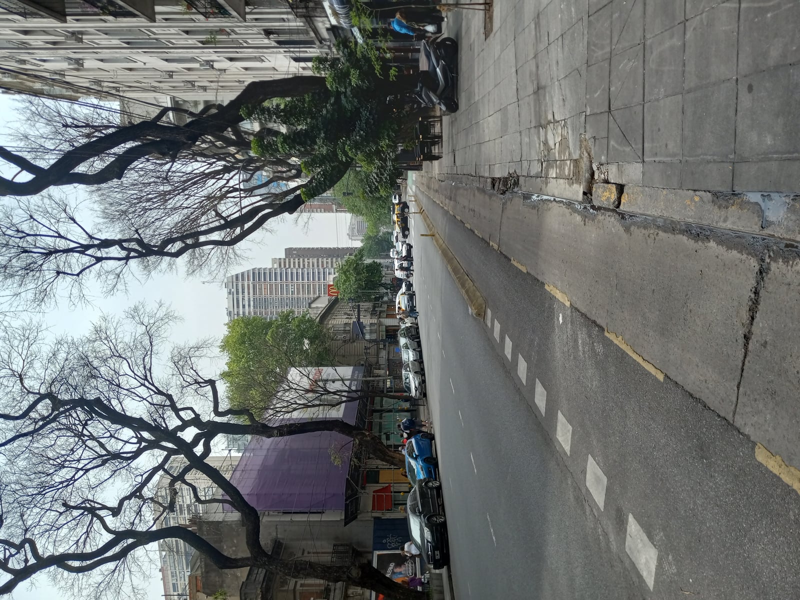Avenida Coronel Díaz