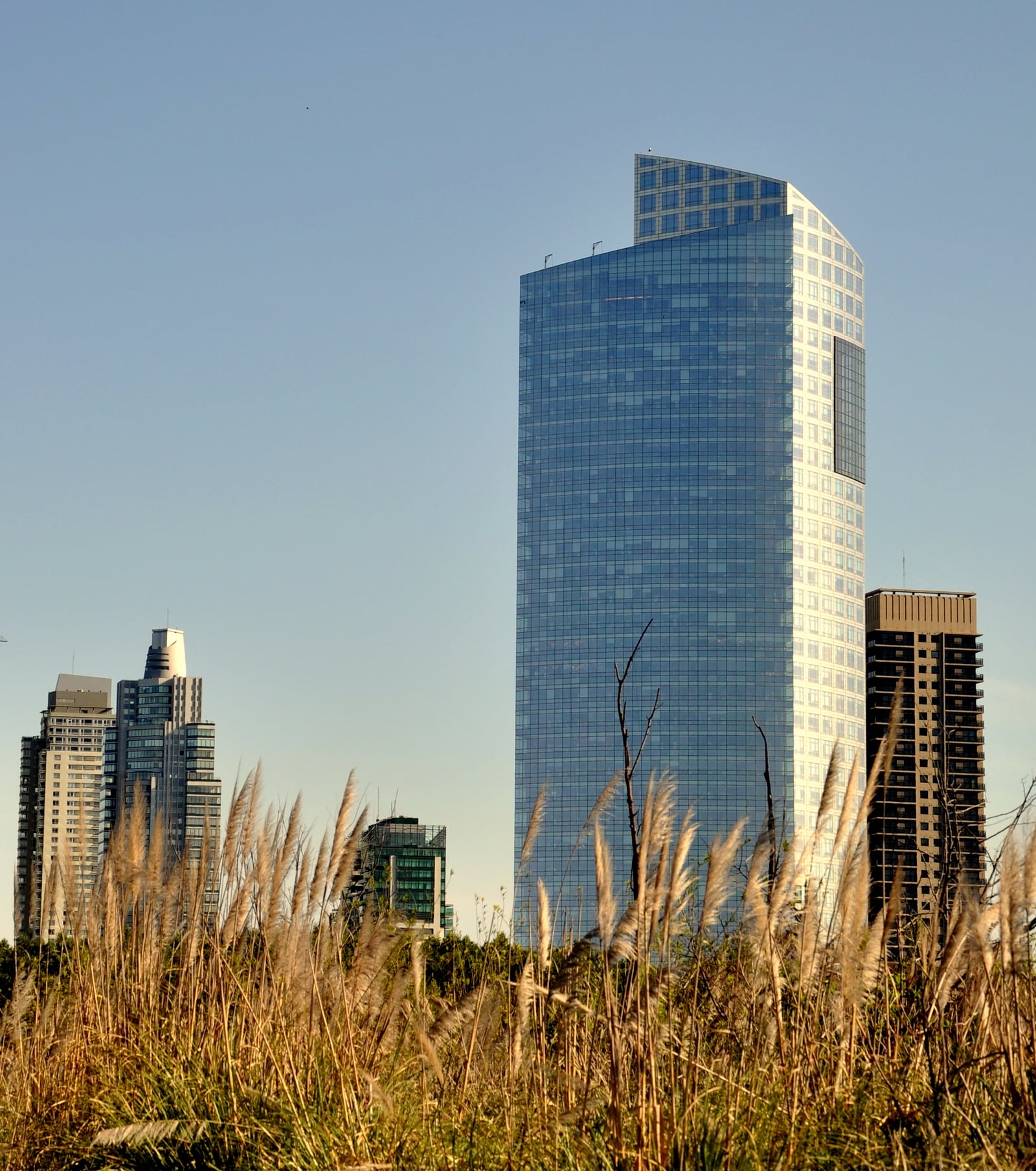 Reserva Ecológica en Buenos Aires